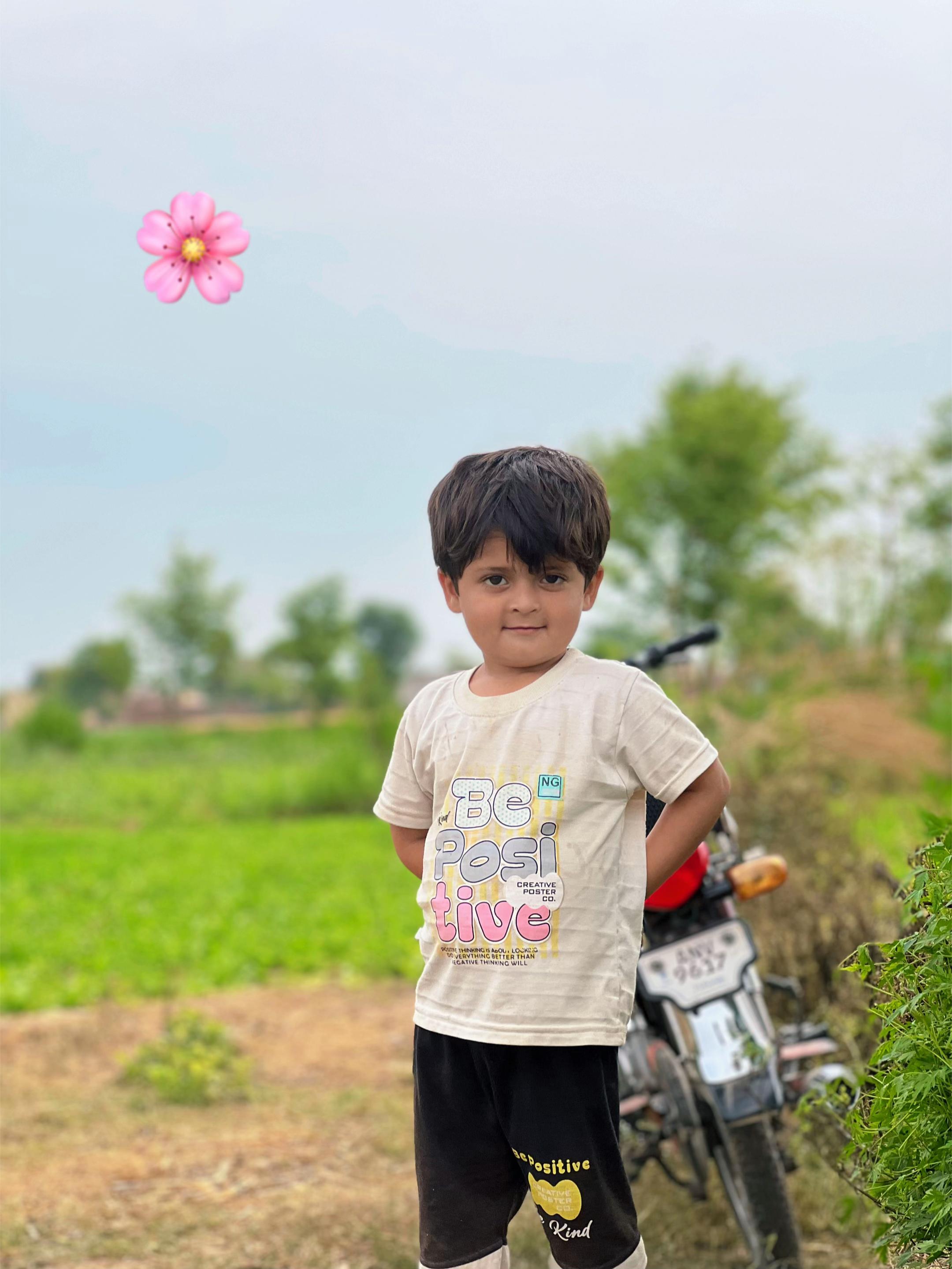 @پینڈو بوائز 378
