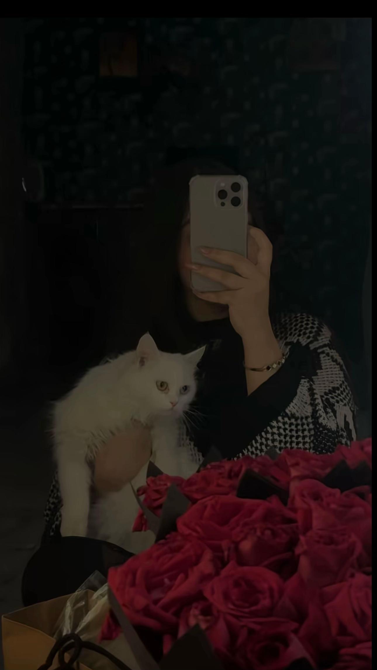 @🧸💌