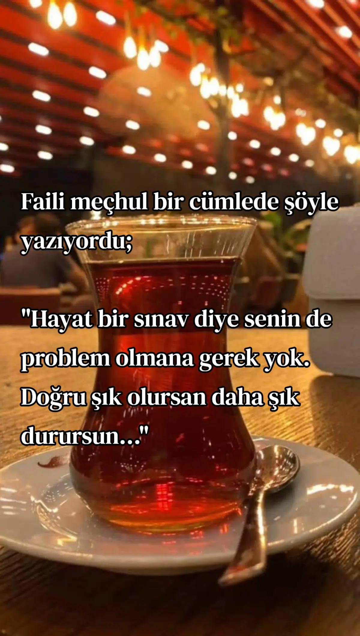 @storling5