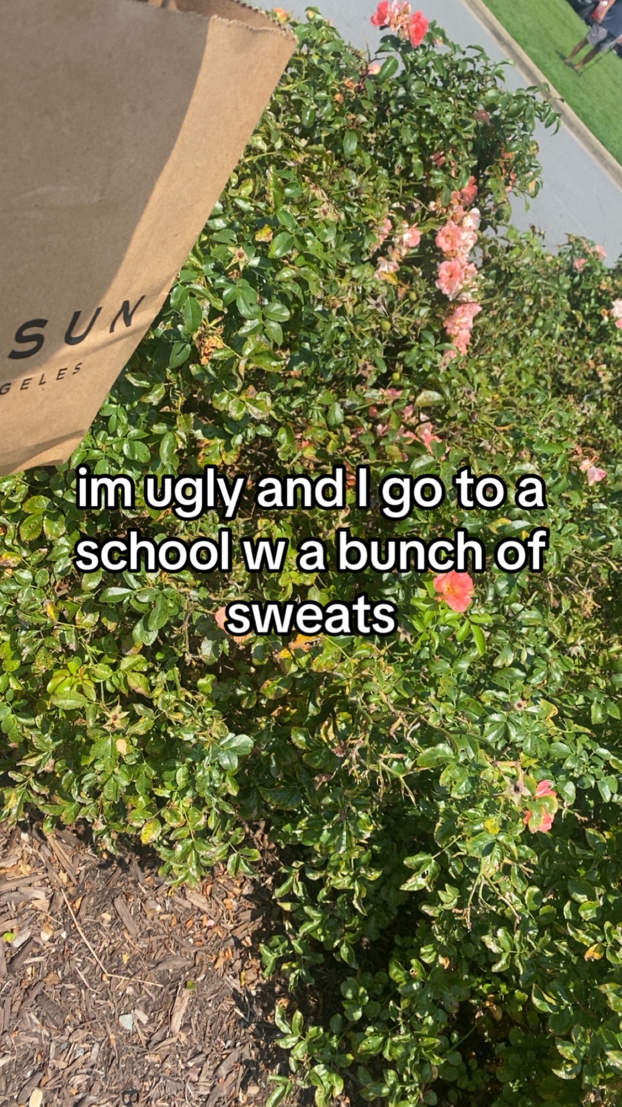@jujuluvsuuu