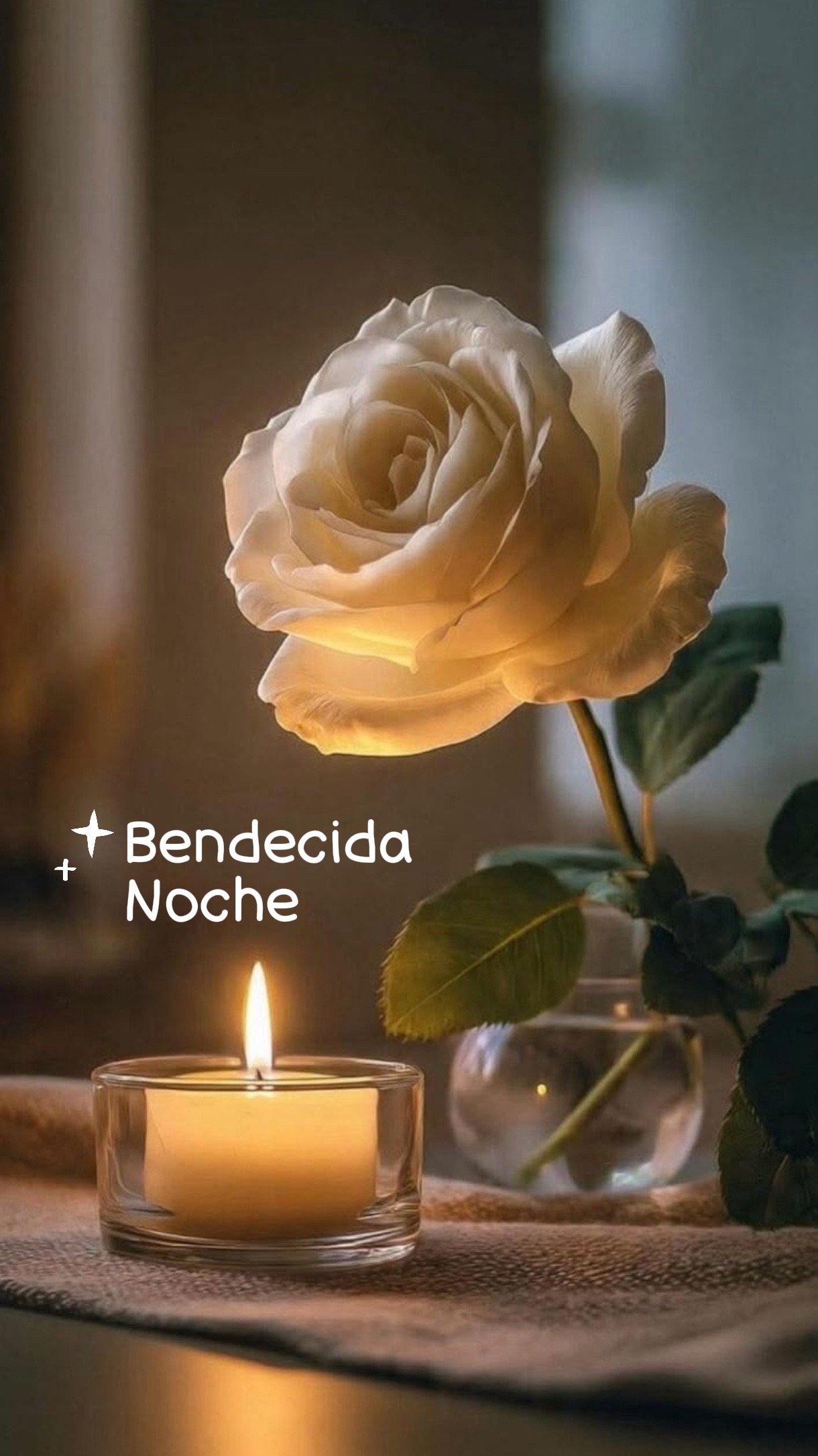 @susanamartinez1634