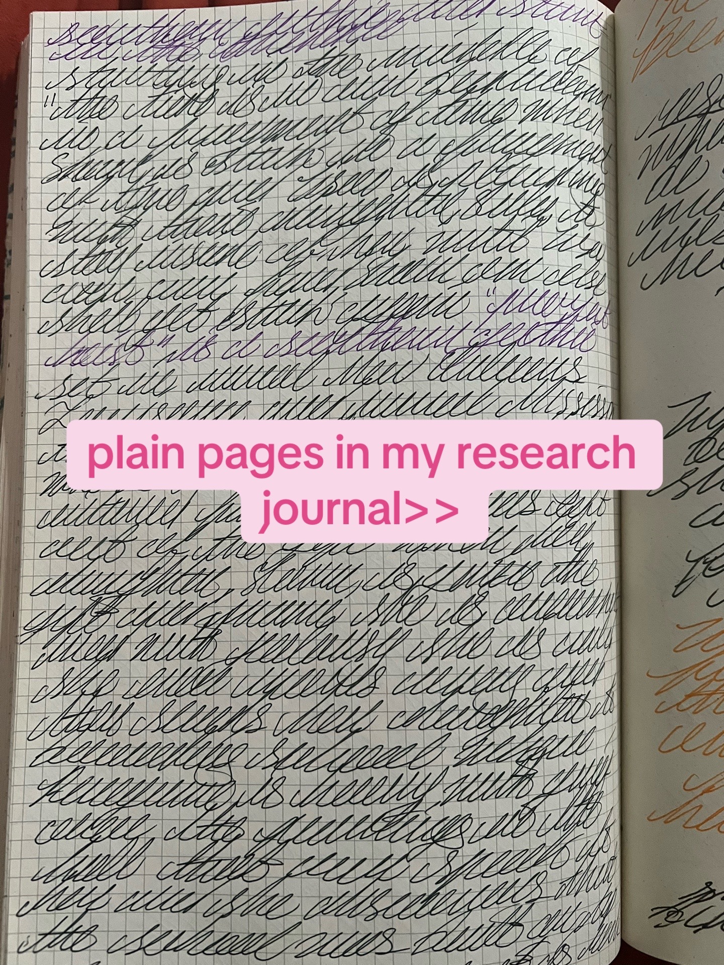 @Dylan | Writer | CC 📚🦋