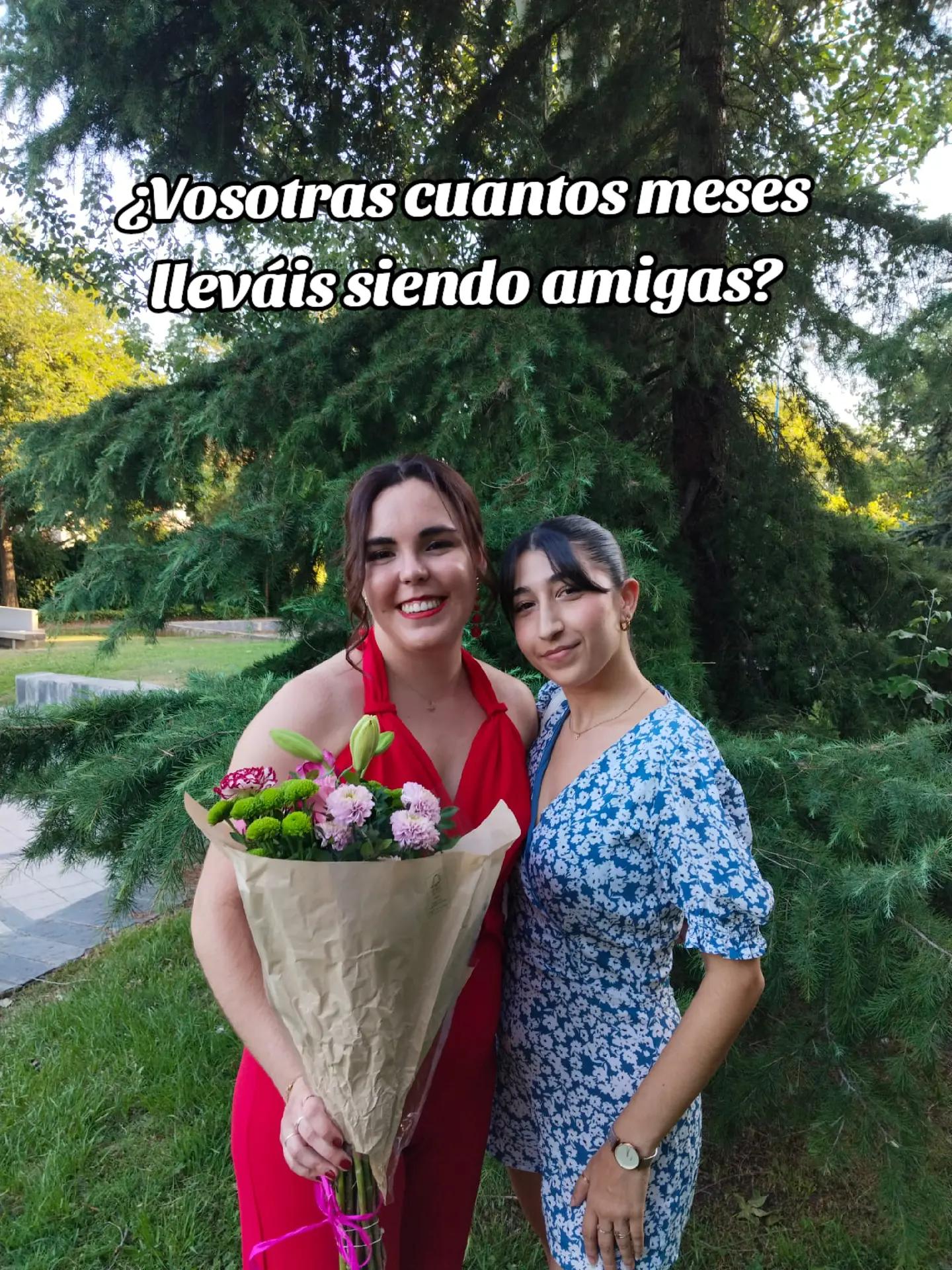 @elelobo00