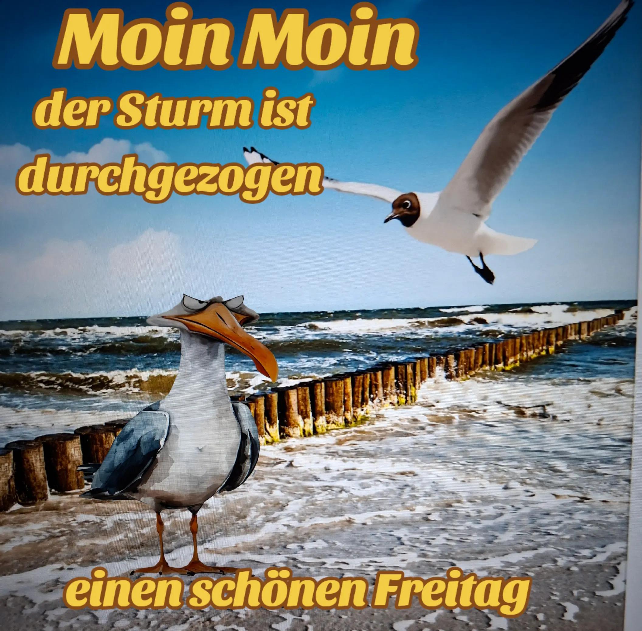 @geistlein12