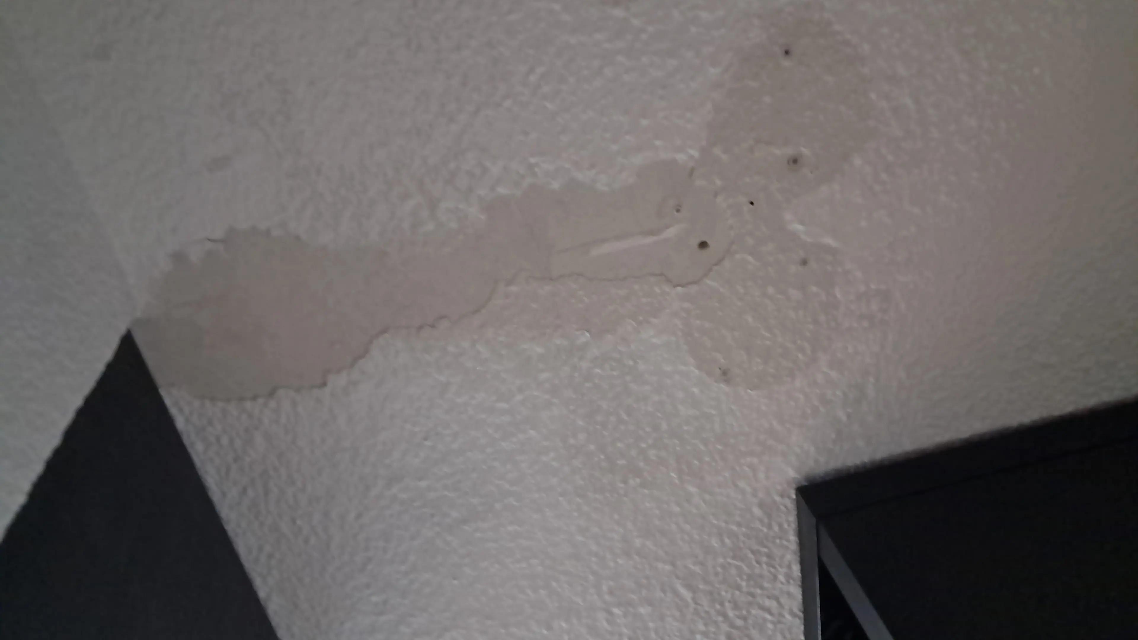 @54Division