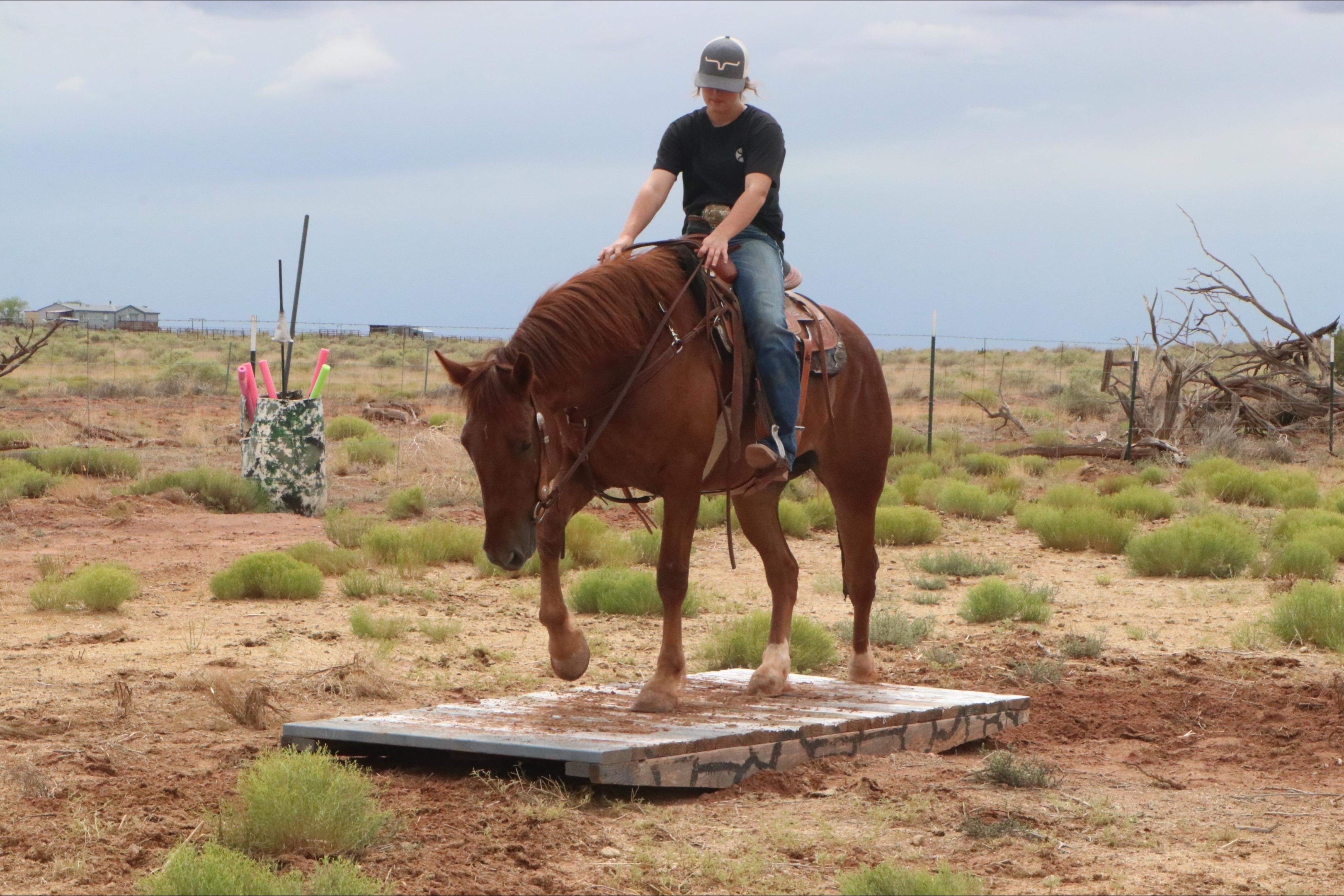 @CanyonStateHorsemanship
