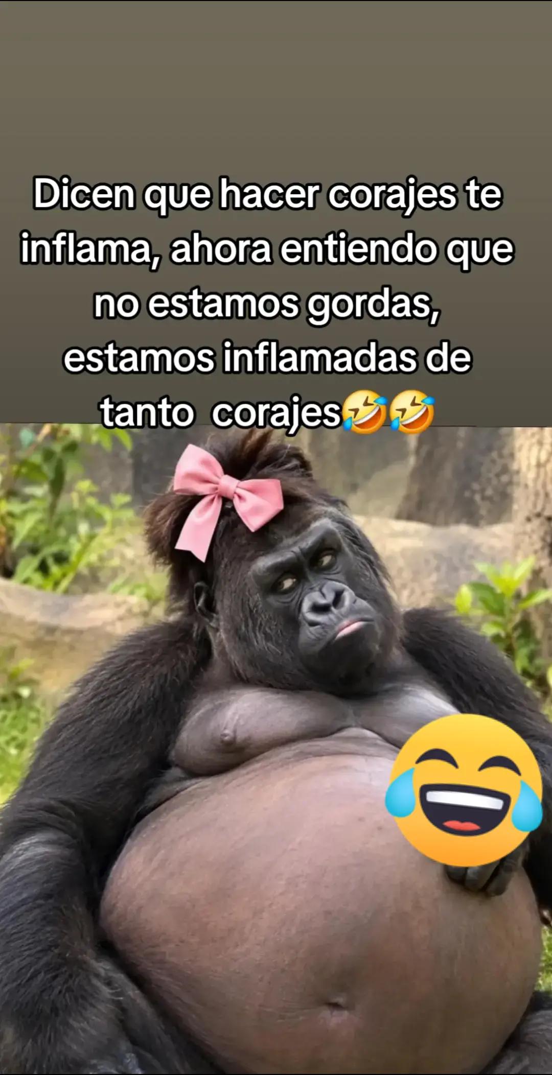 @🌹🦋lindaflor502🌹🌷🦋