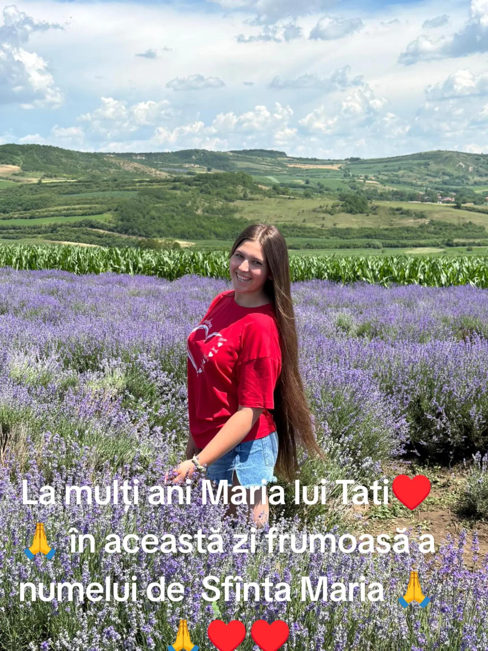 @Ciotârcă Ovidiu!