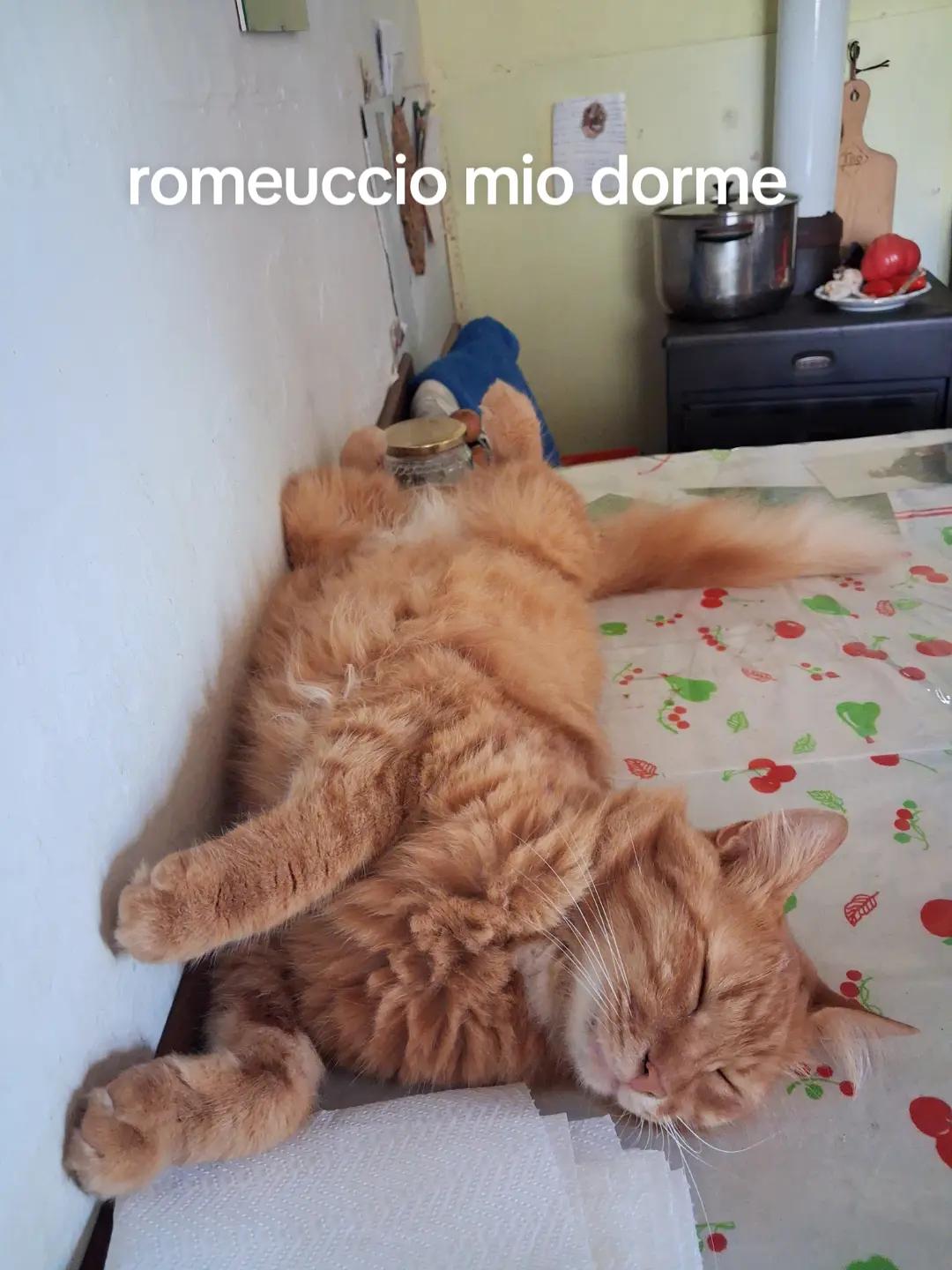 @Angelo74