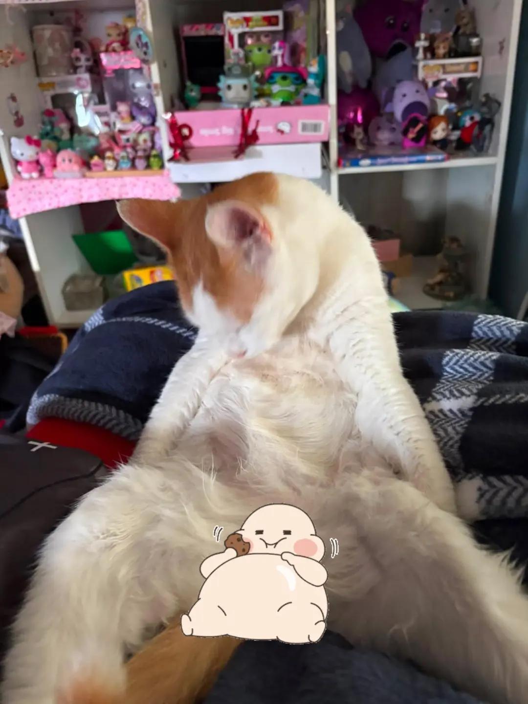 @🍥