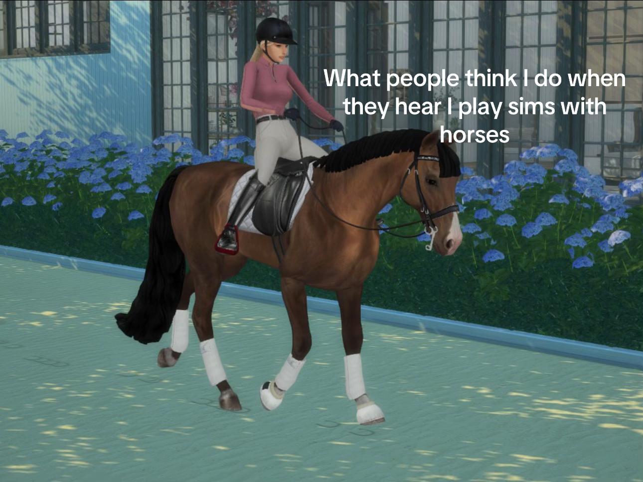 @mainorhillsstud
