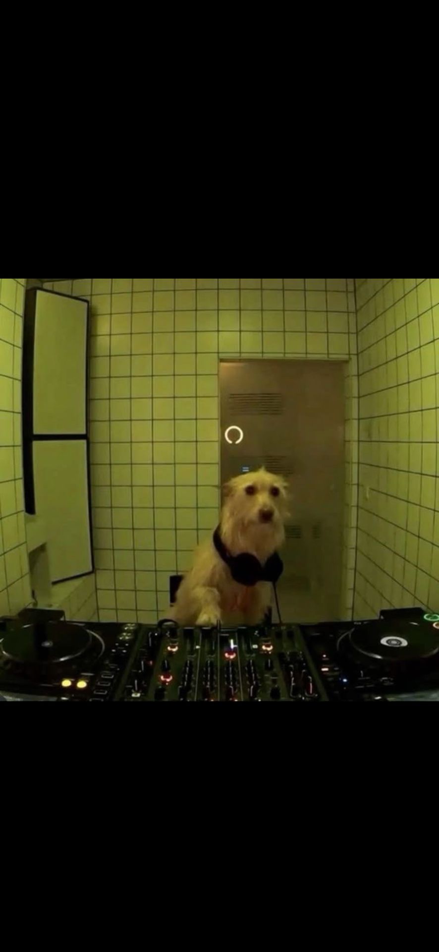@iiamimprovising