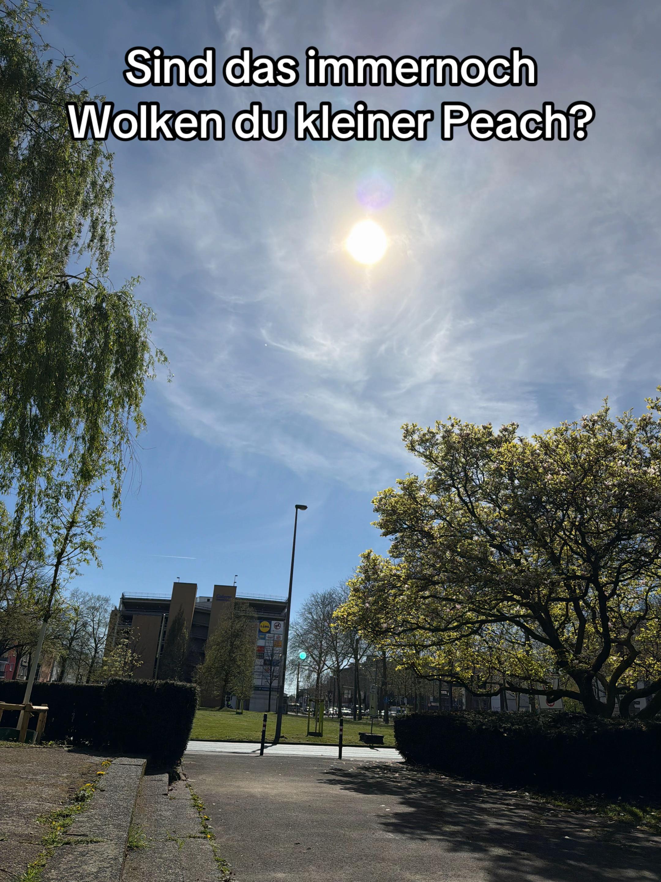 @PrimalTürke