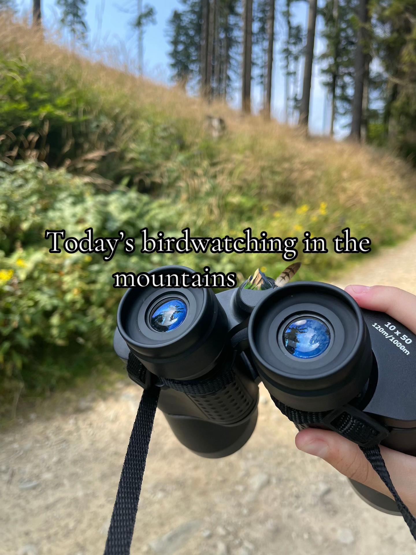 @ˁ῁̮ˀᴇsᴜᴛᴇʀᴜ⋆