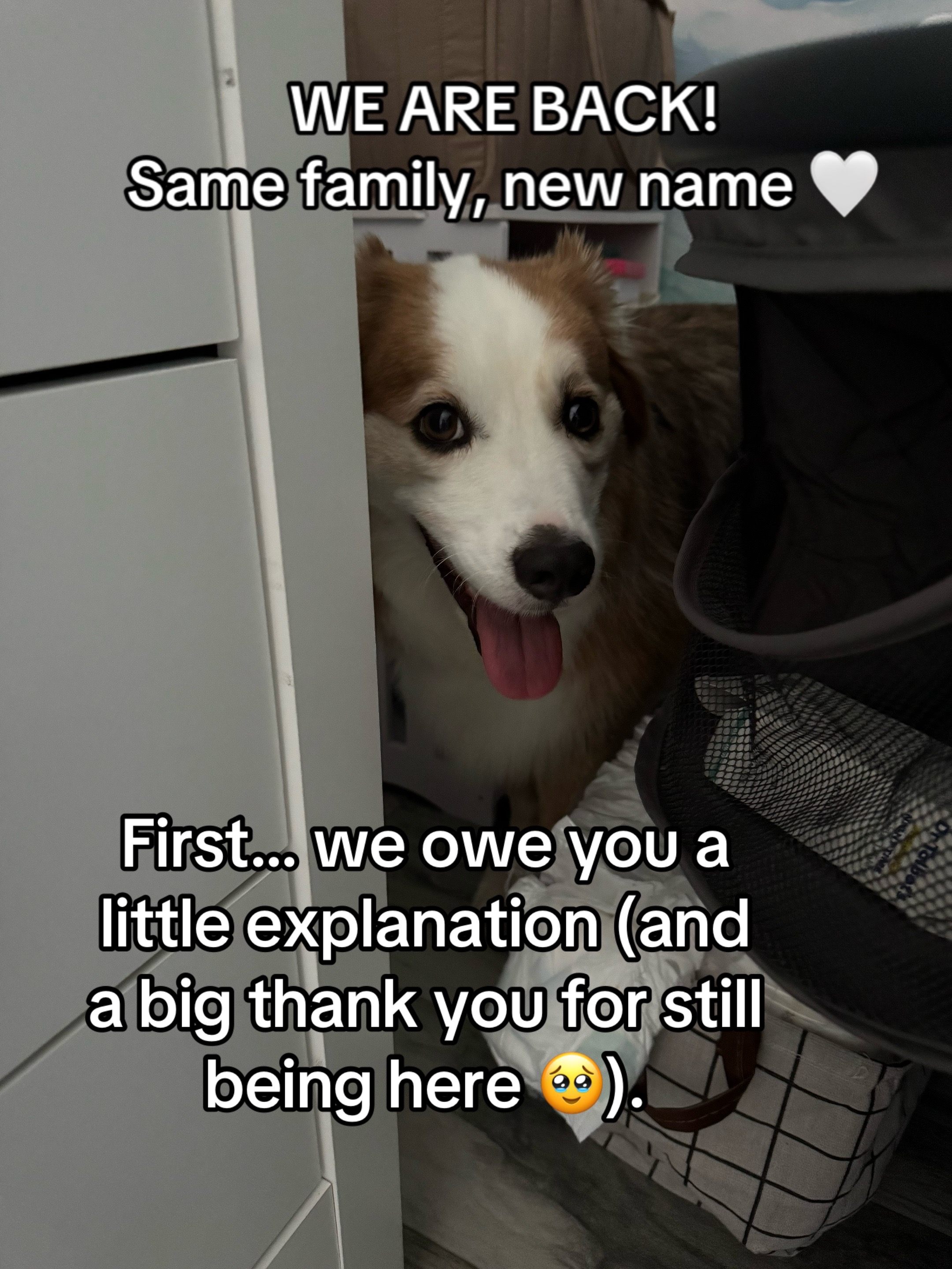 @thehappypack