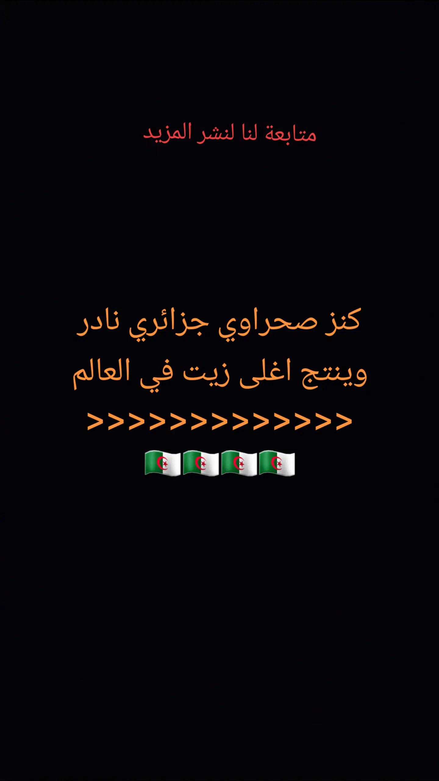 @ramziaouadj93
