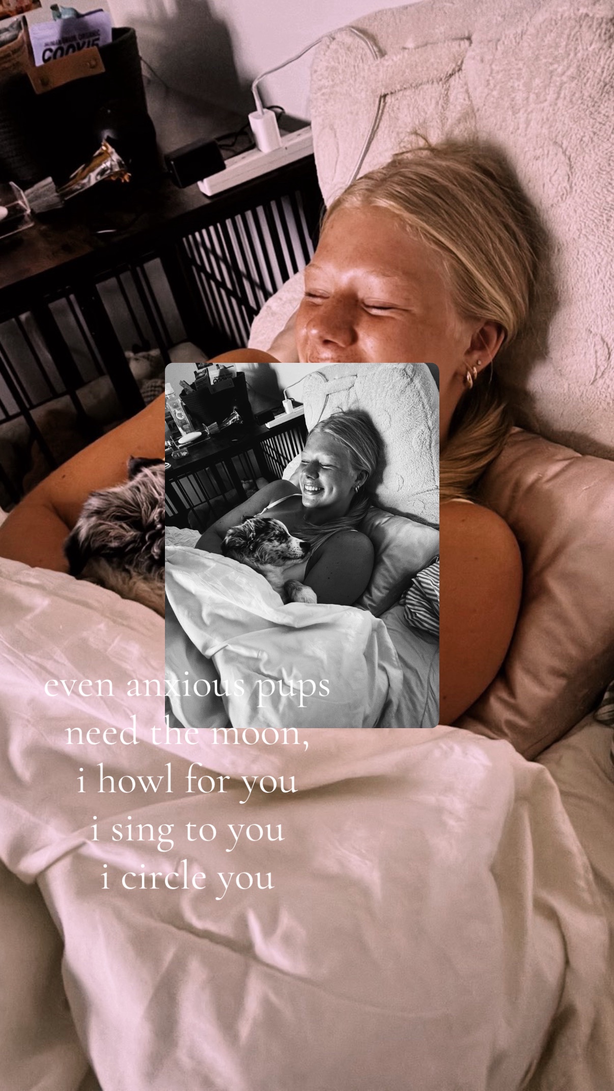 @brielleschorg
