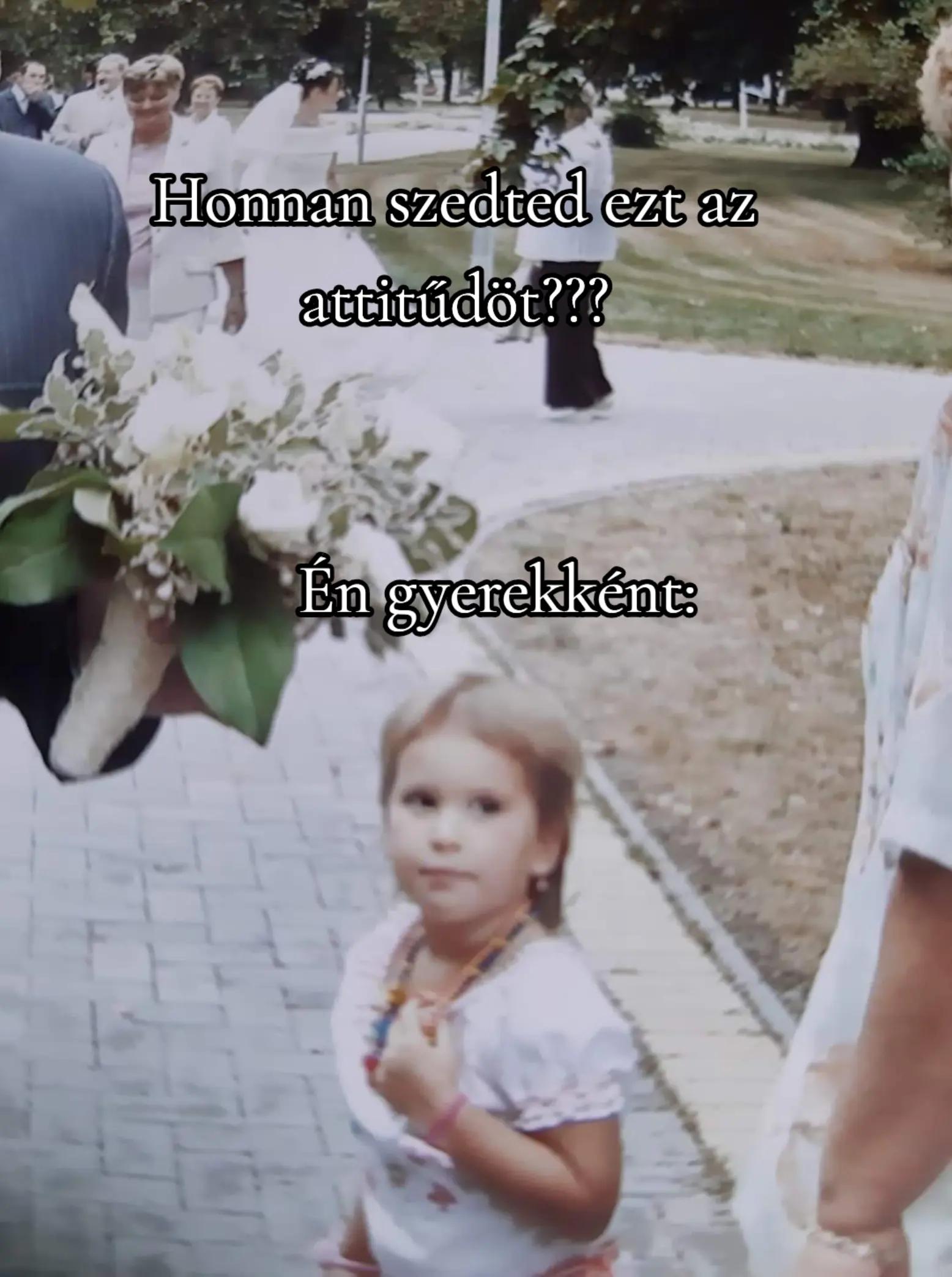 @Krámli-Tóth Gréta Janka