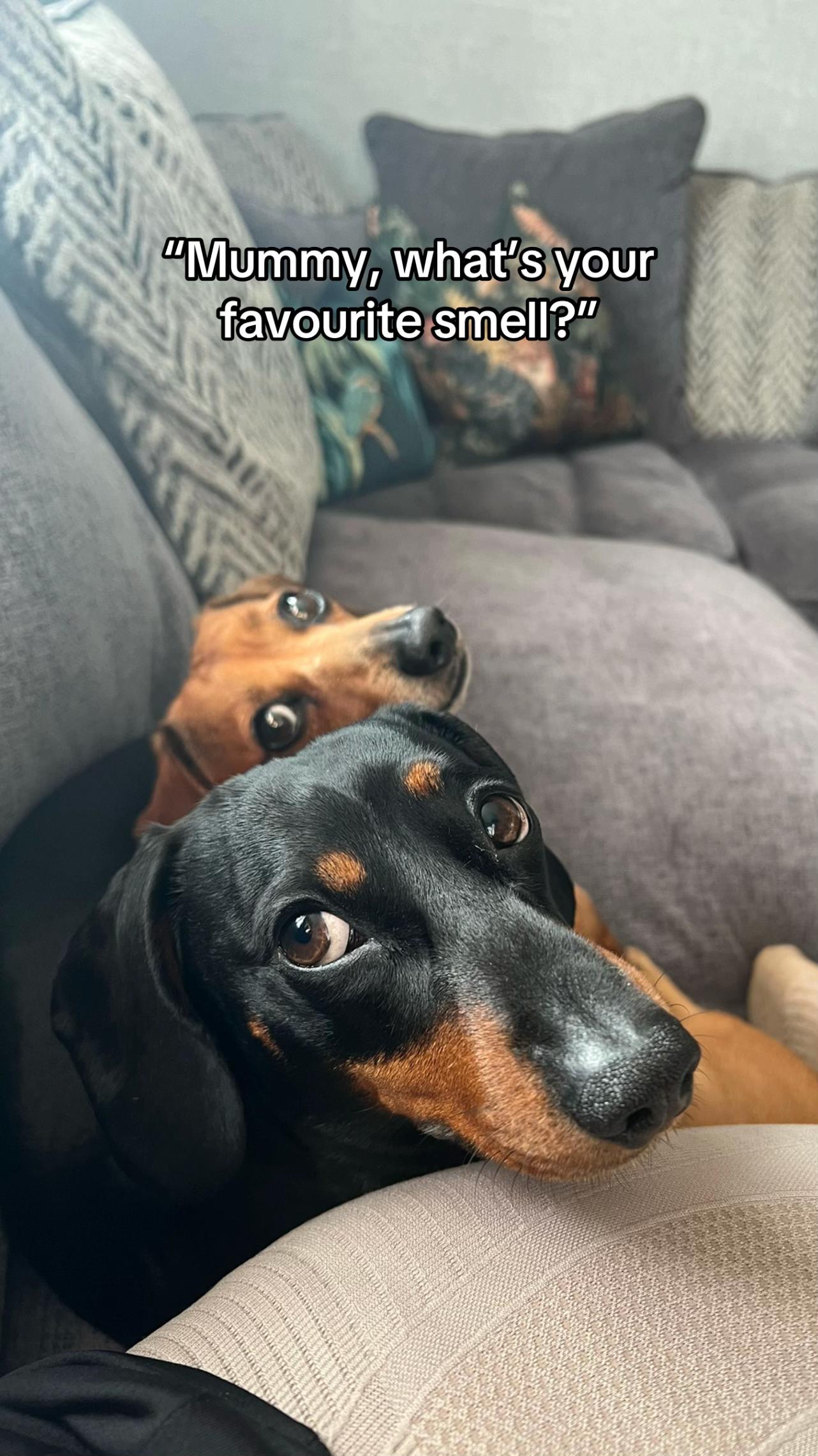 @Rebecca, Pip & Rolo