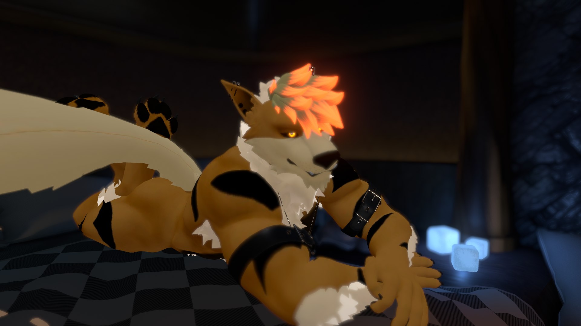 @🐾Jakko🐾
