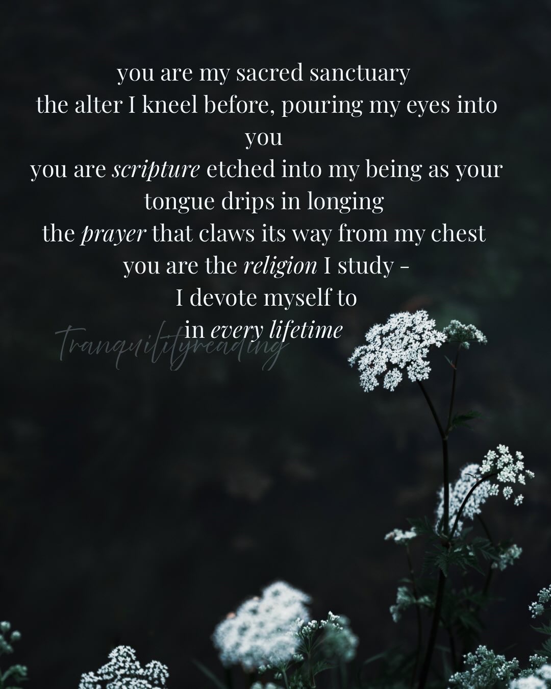 @Tranquilityreading ๏พ'๐ถ ๐