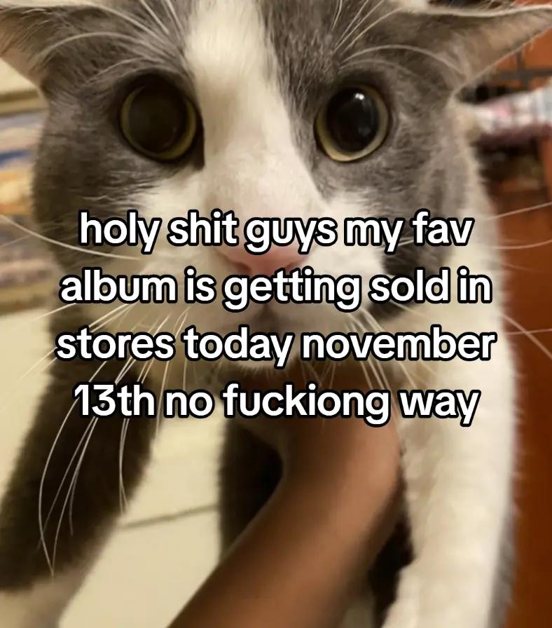 @𝕵𝖆𝒛 🦨🎸 (#1 Nirvana Fan)