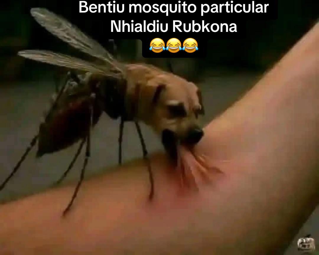 @Kush1341