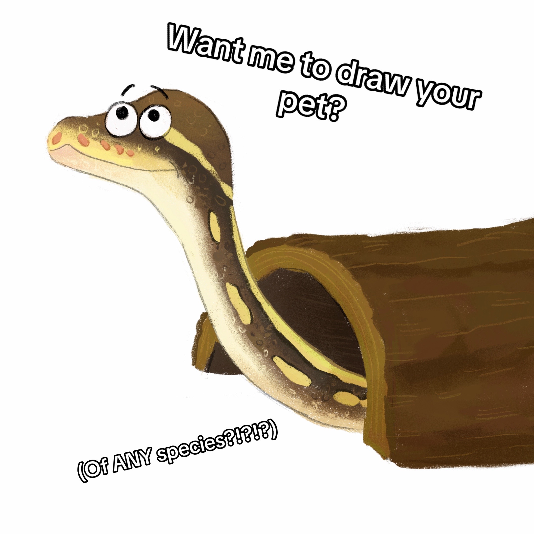 @Seb
