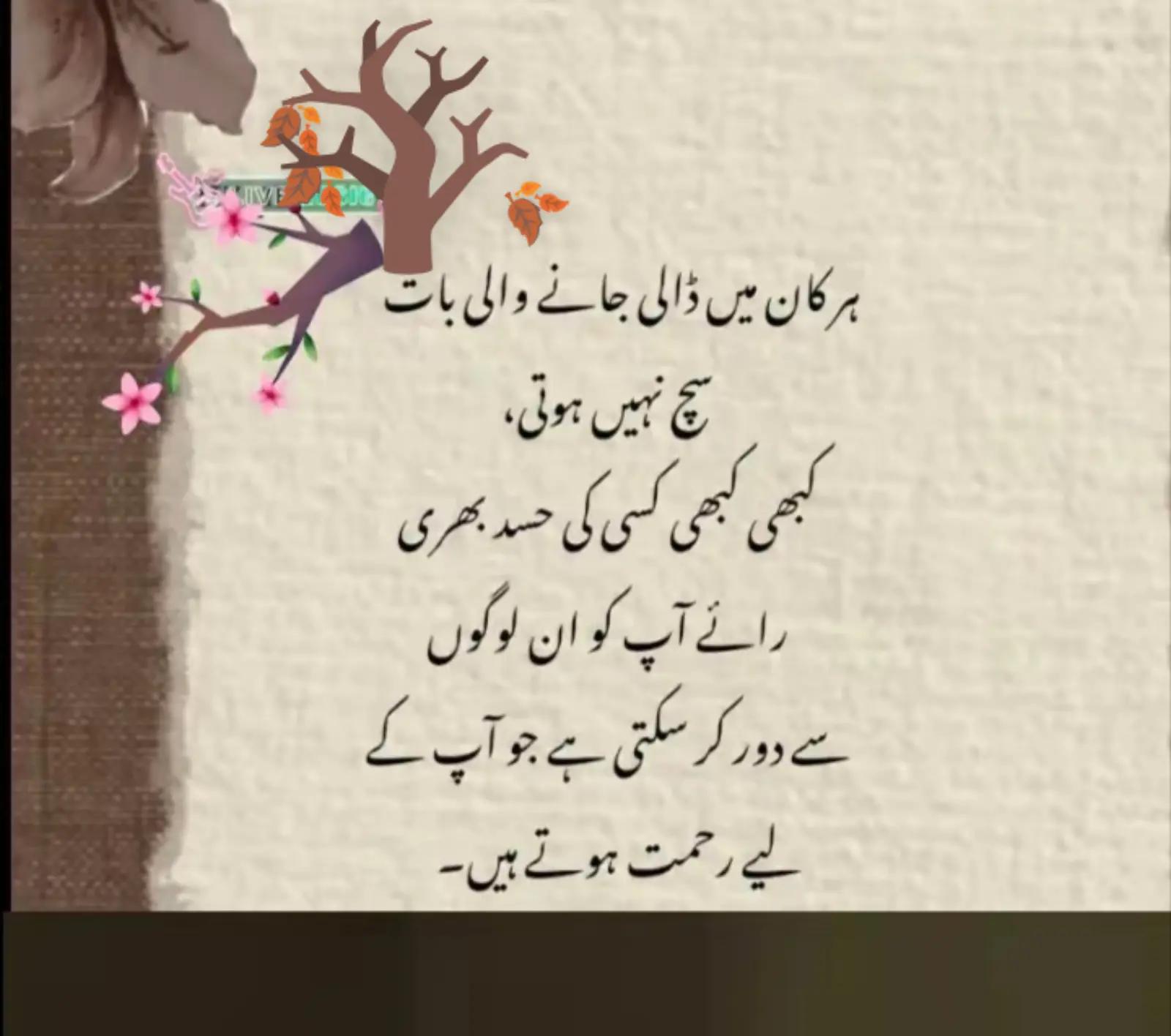 @ZAIN_89🖤