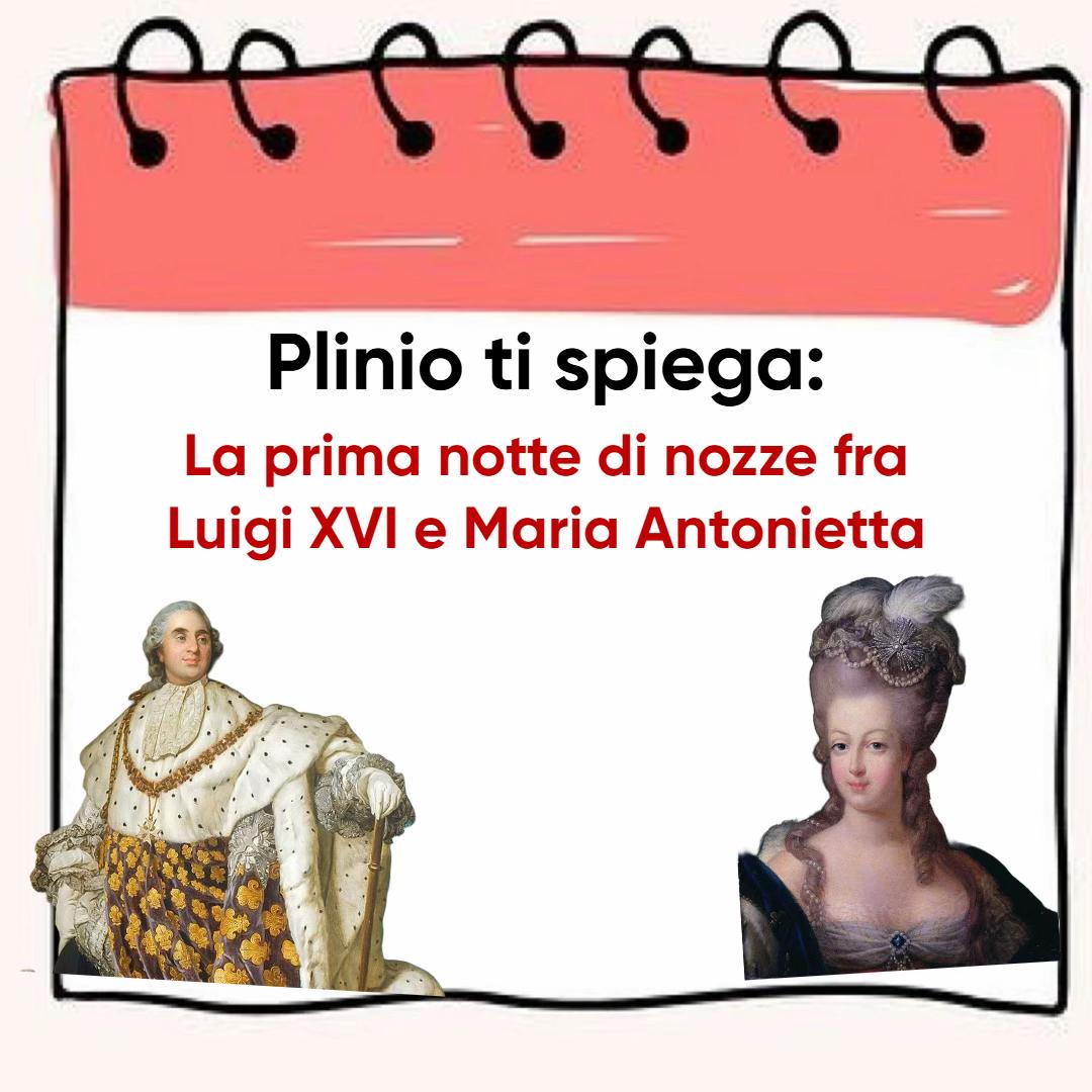 @CuriosicomePlinio