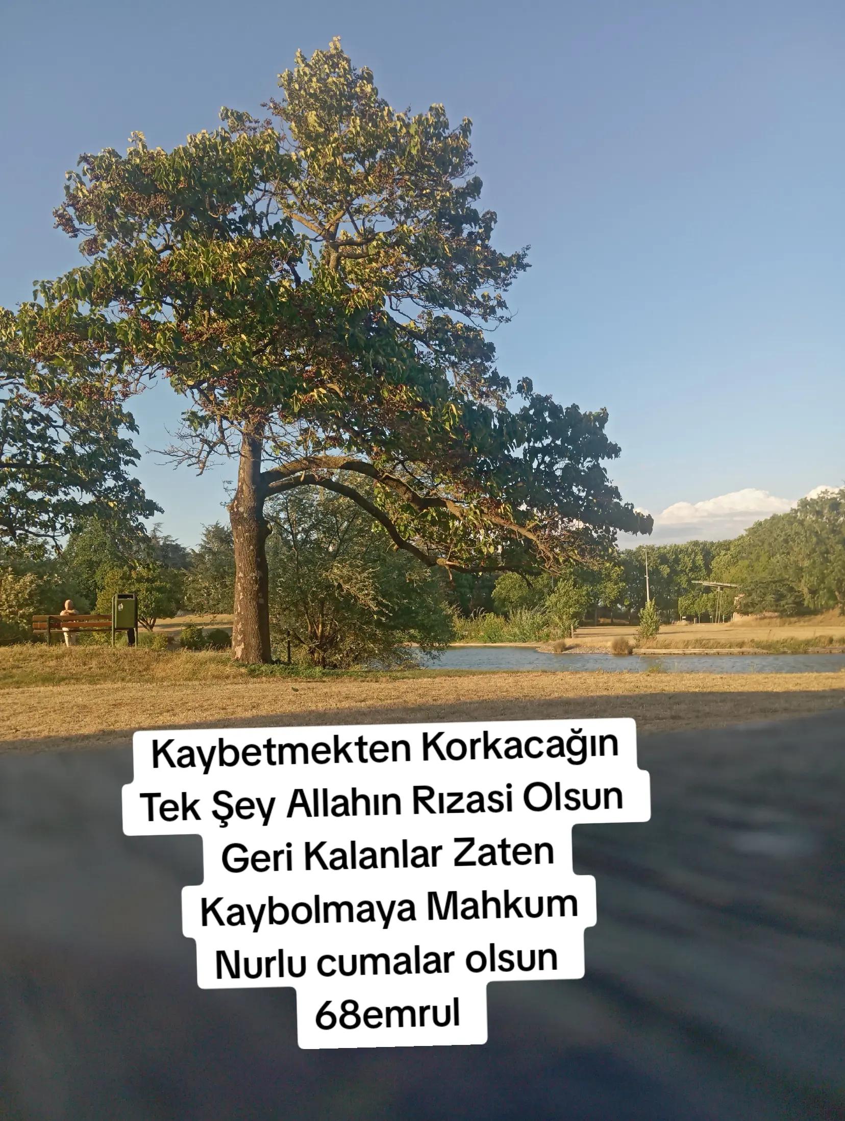 @68emrul