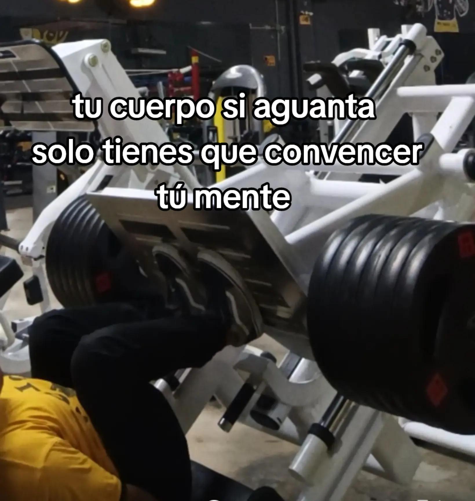 @tiburóncin