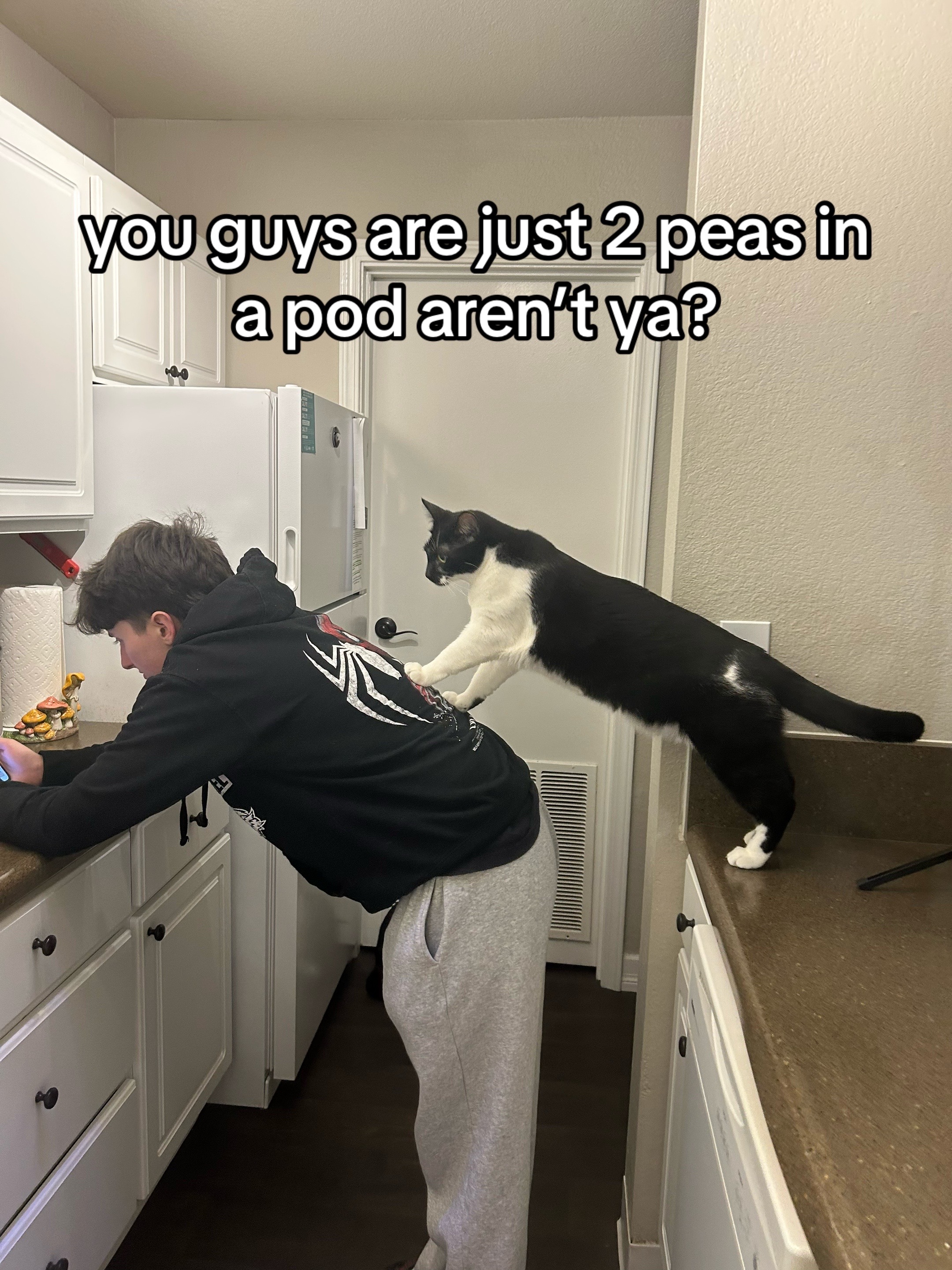 @Pam