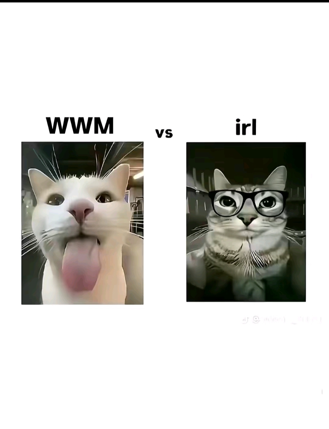 @ᶜⁱⁿᵈʸ.ᵐᵖ³✦⋆˙⟡ —
