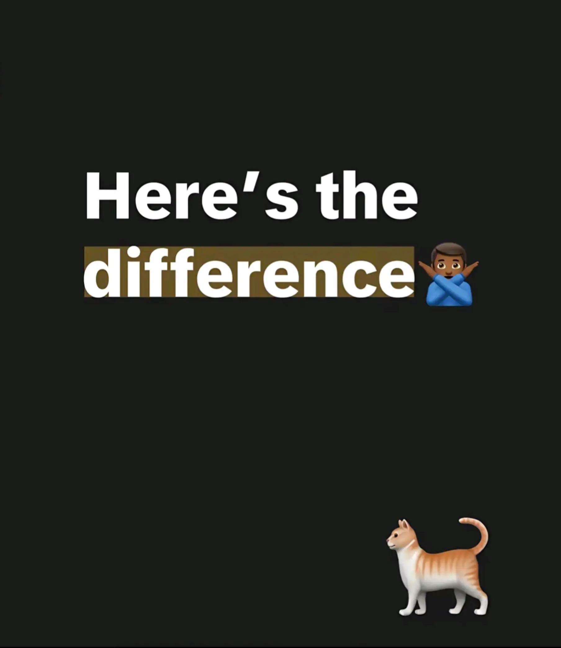 @RemiZ💯