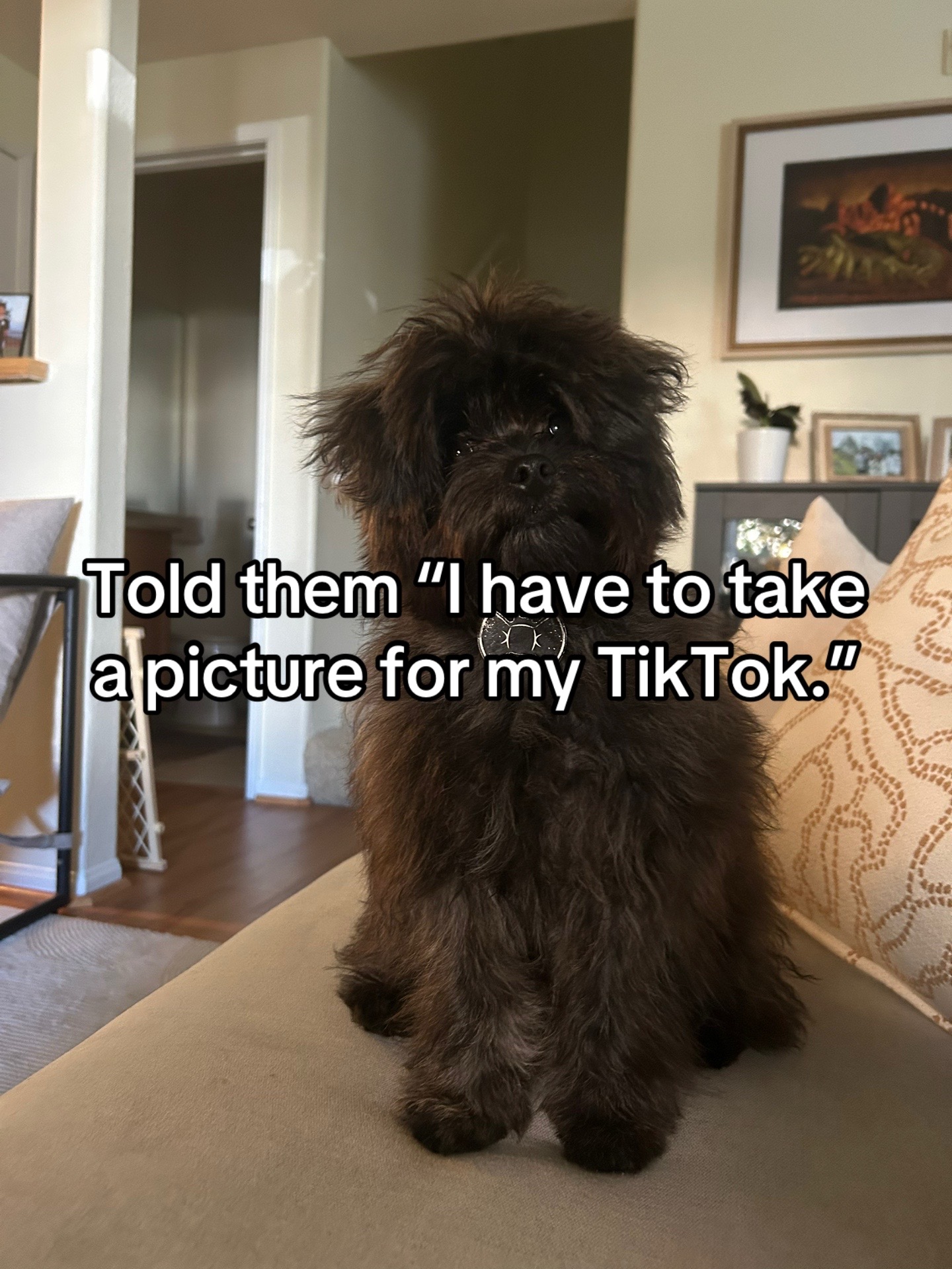 @fluffy_cosmo