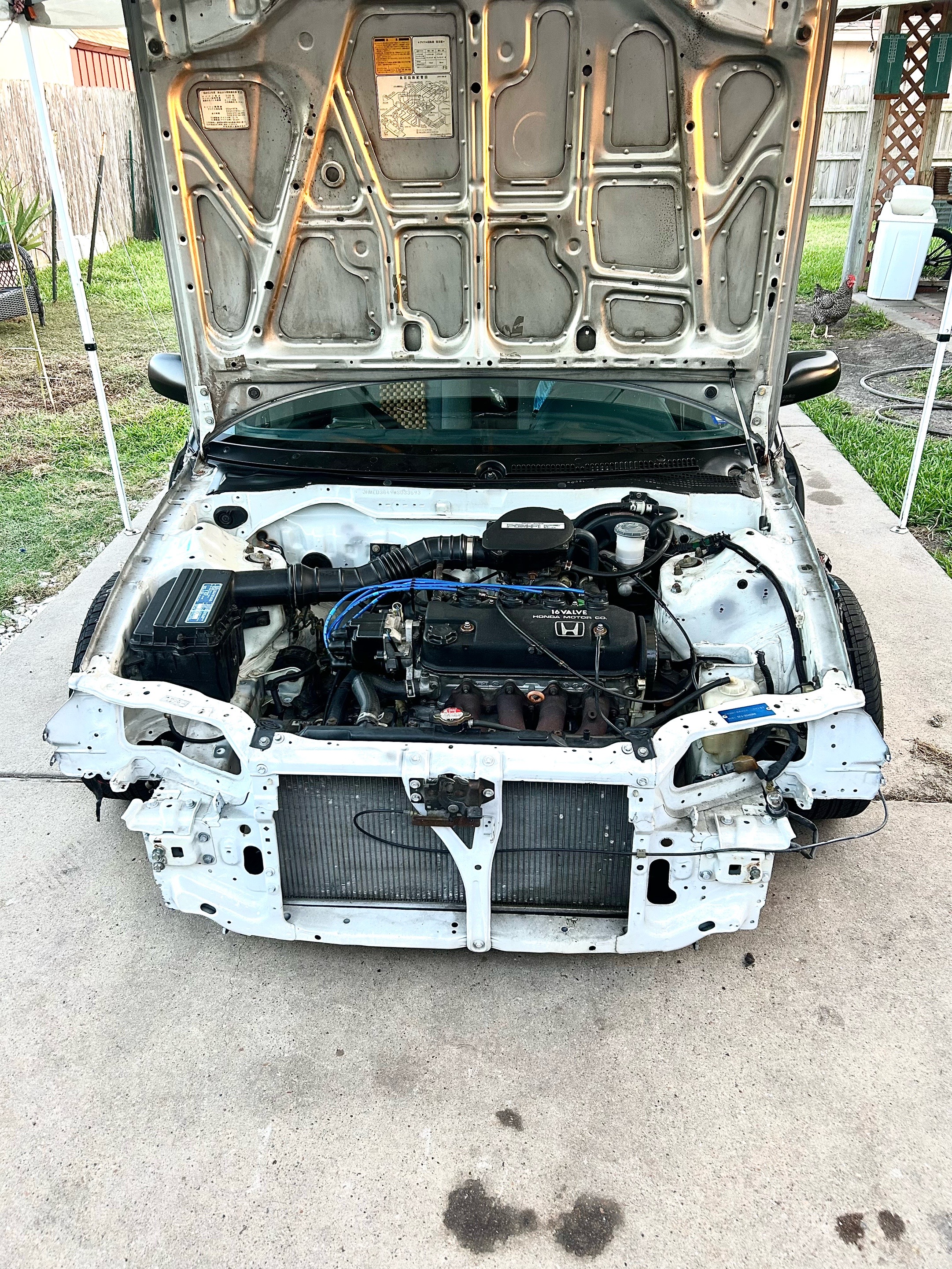 @txefsedan91
