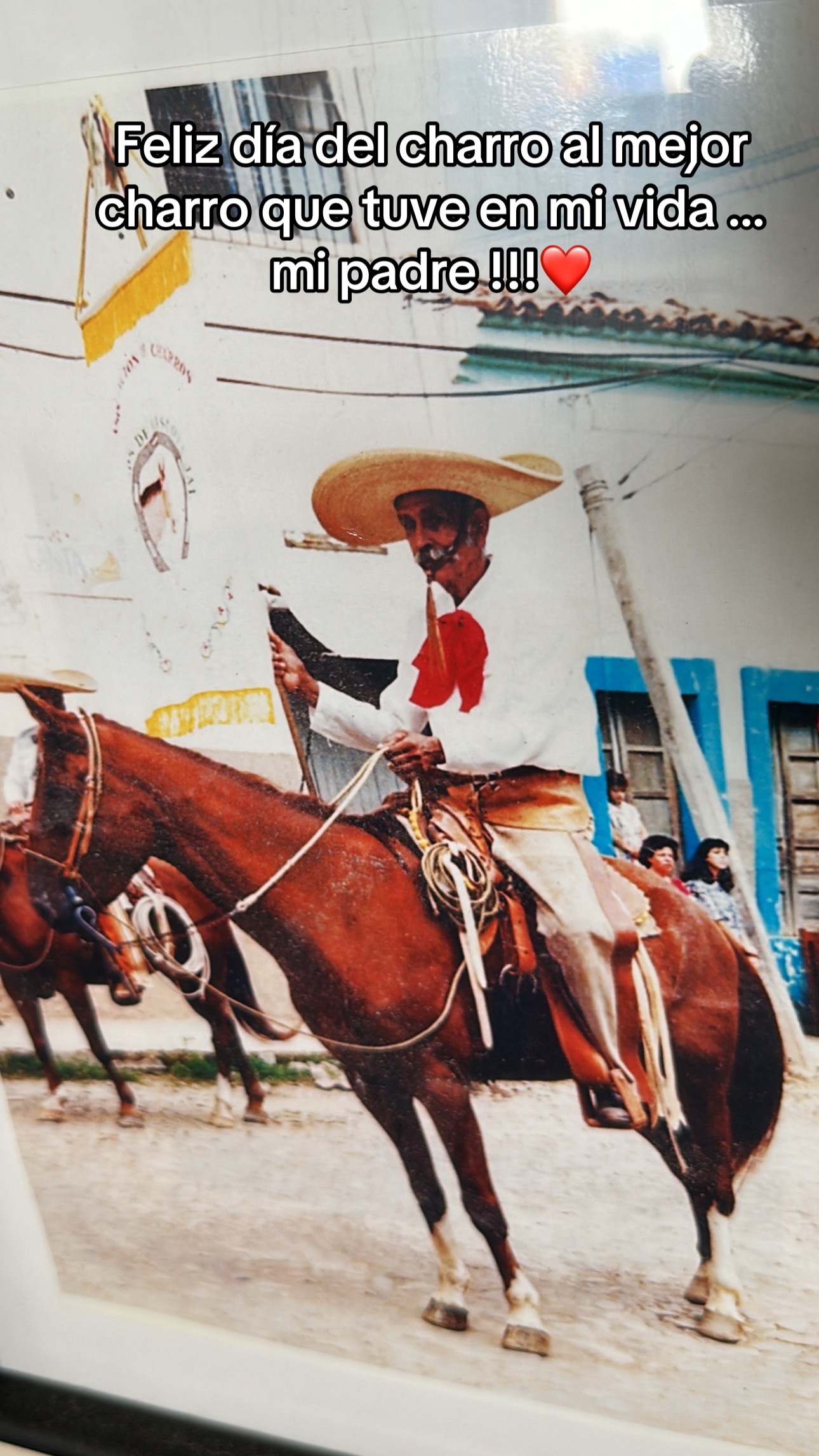 @Castillo🐎🌵