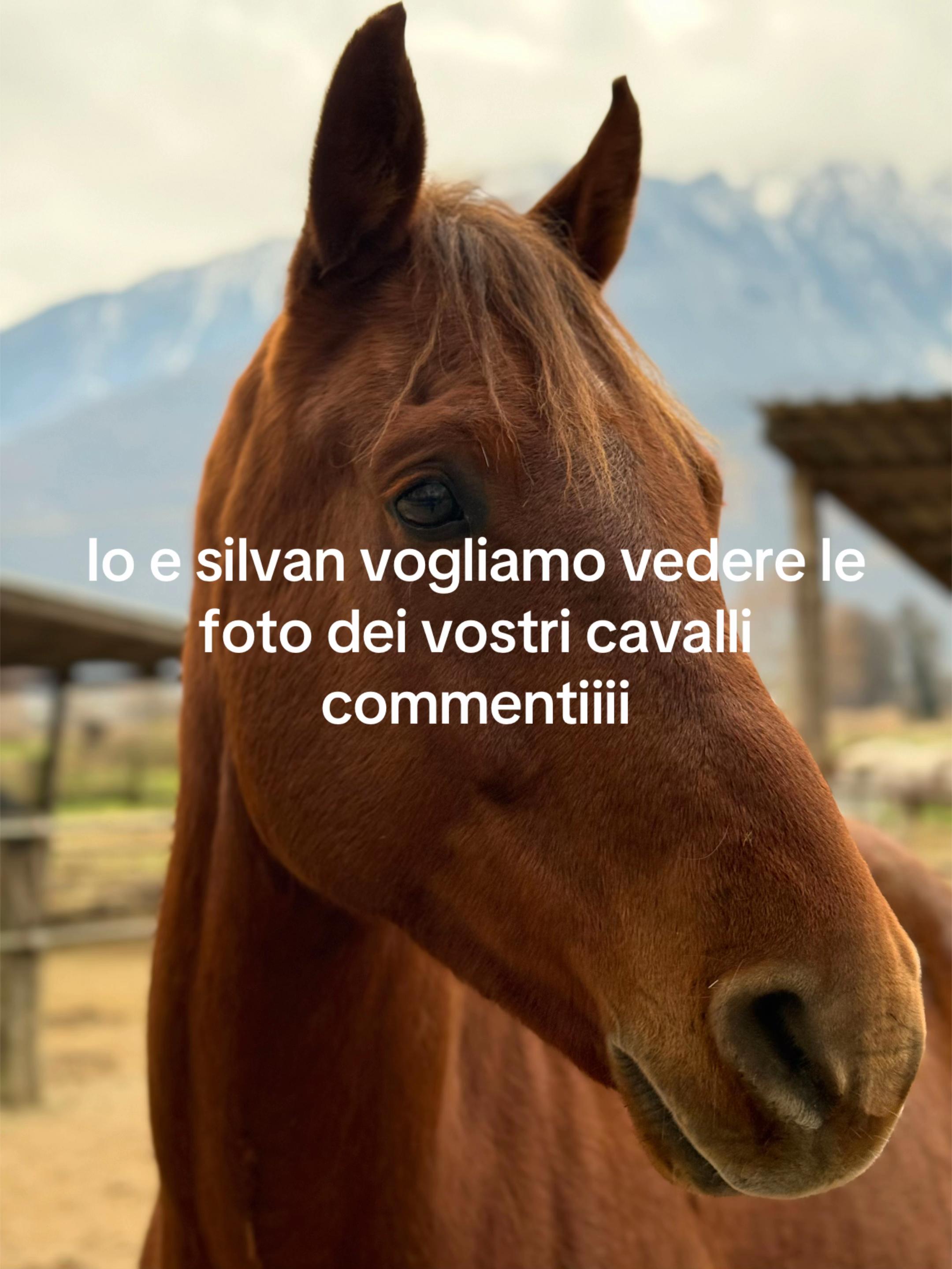 @simonemilivinti