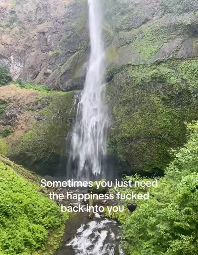 @41DanL