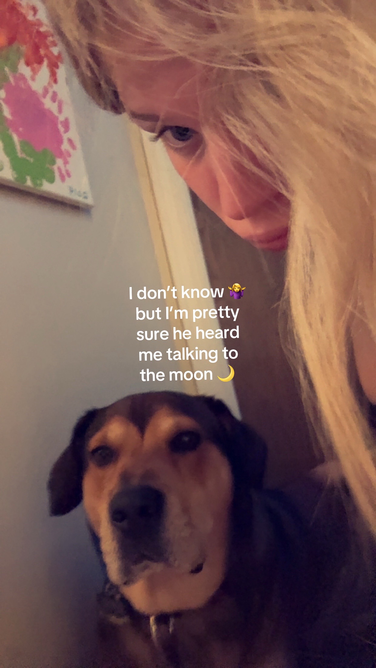 @comehelpabby