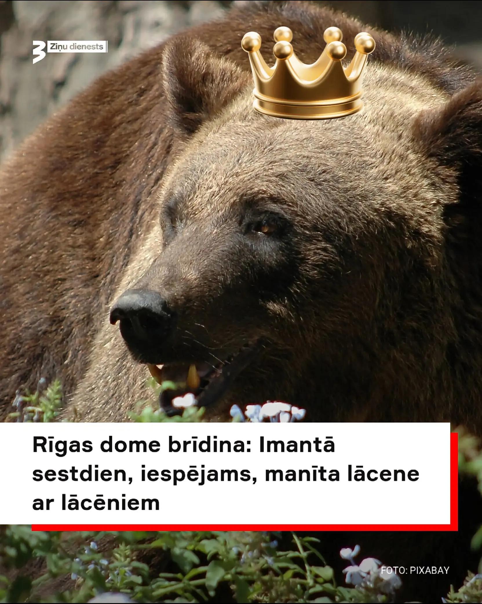 @Aiva Zīle!