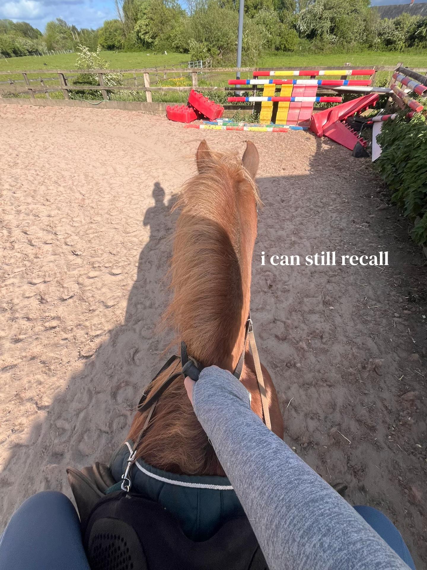@Colleen🚜🐴💝