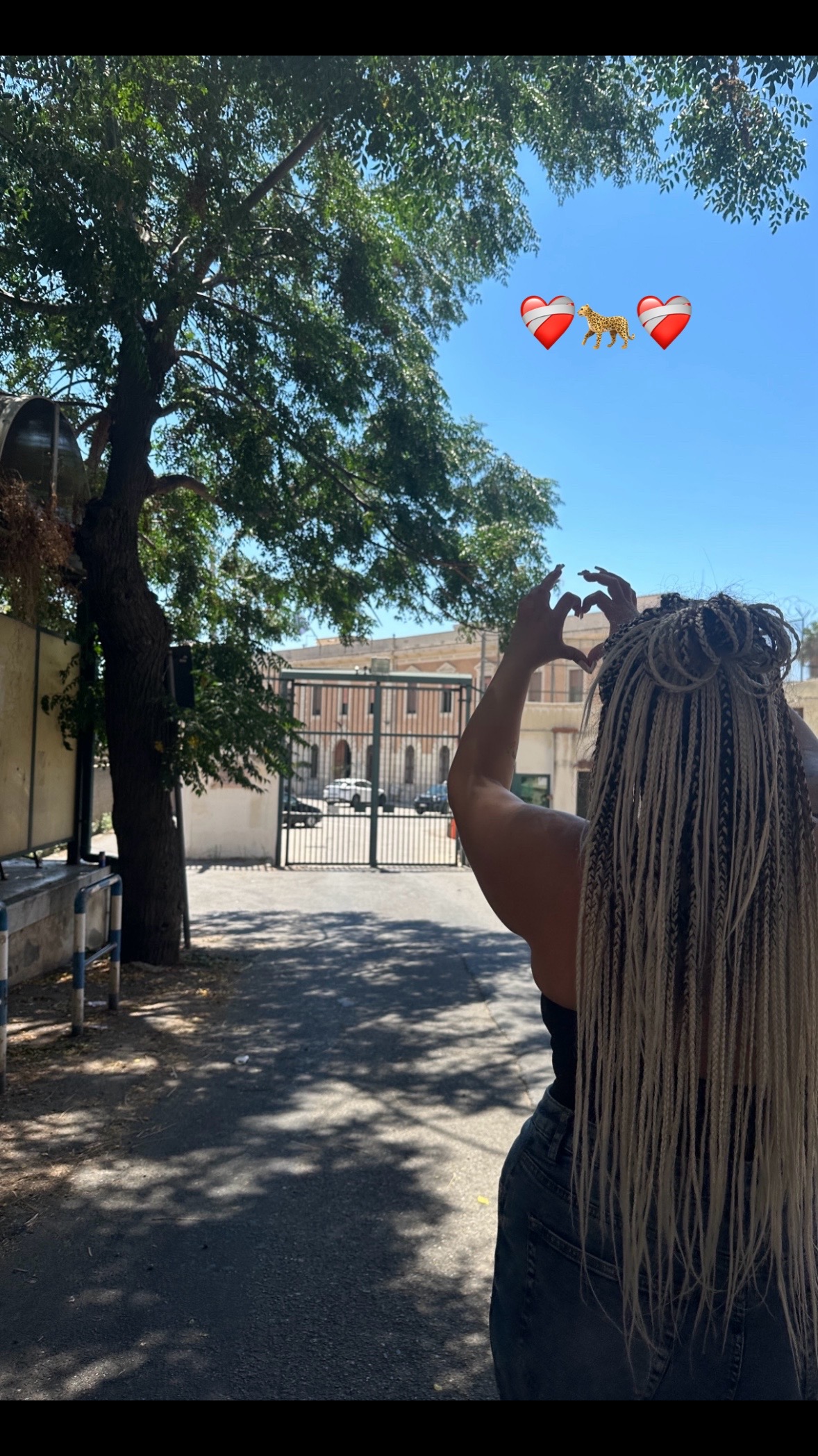@✨Caterina Butruce✨