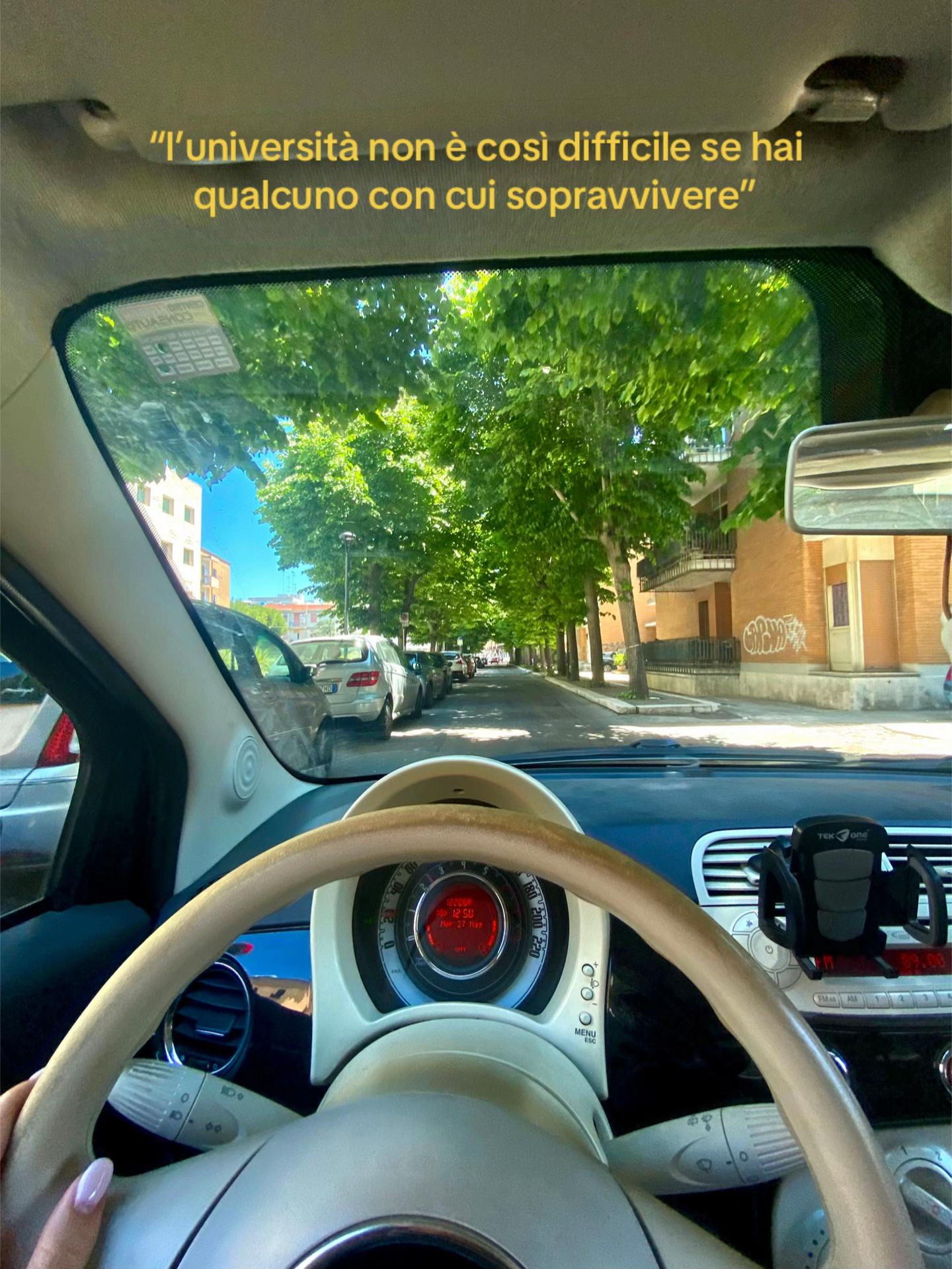 @carlotta do