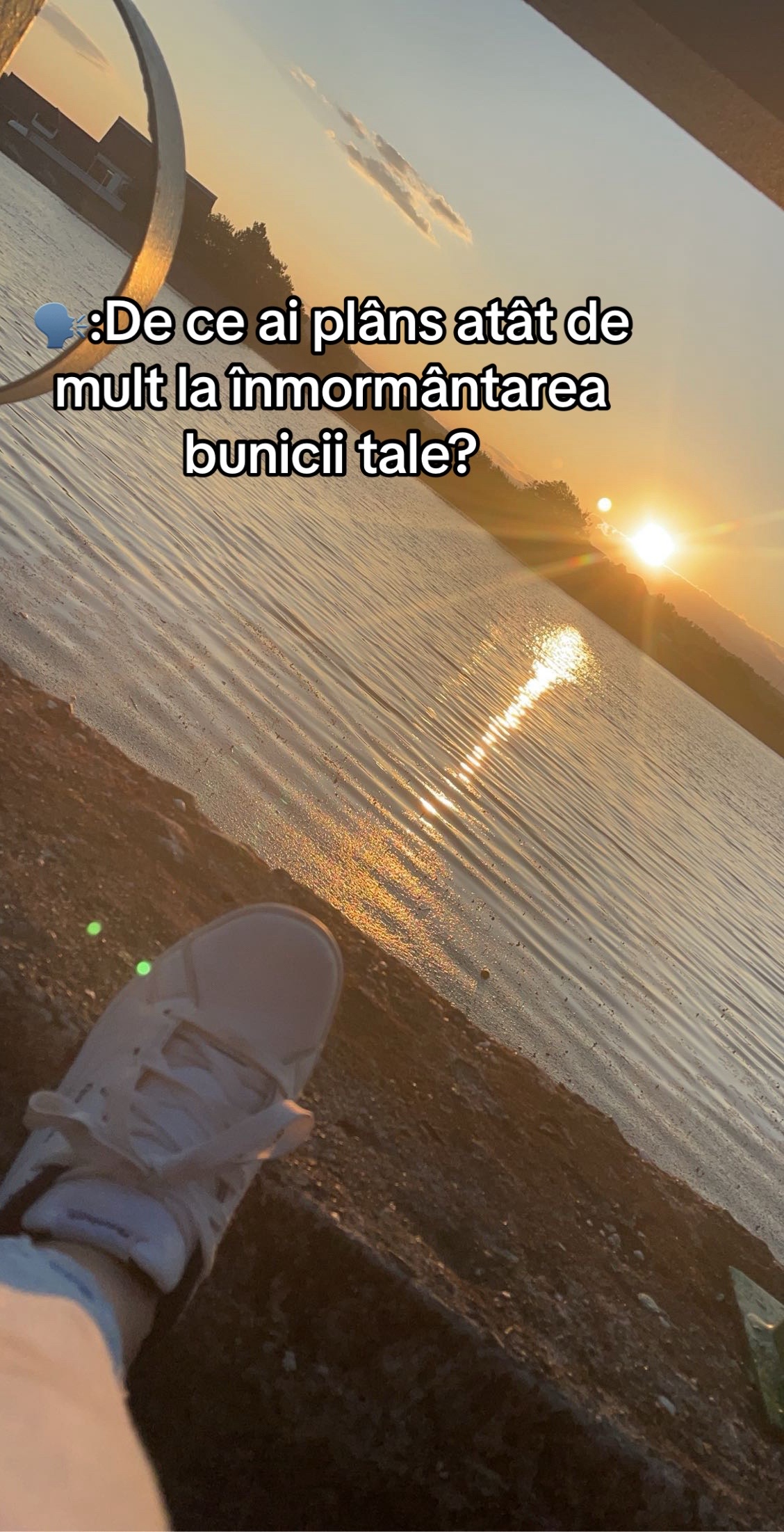 @Petruta Eliana