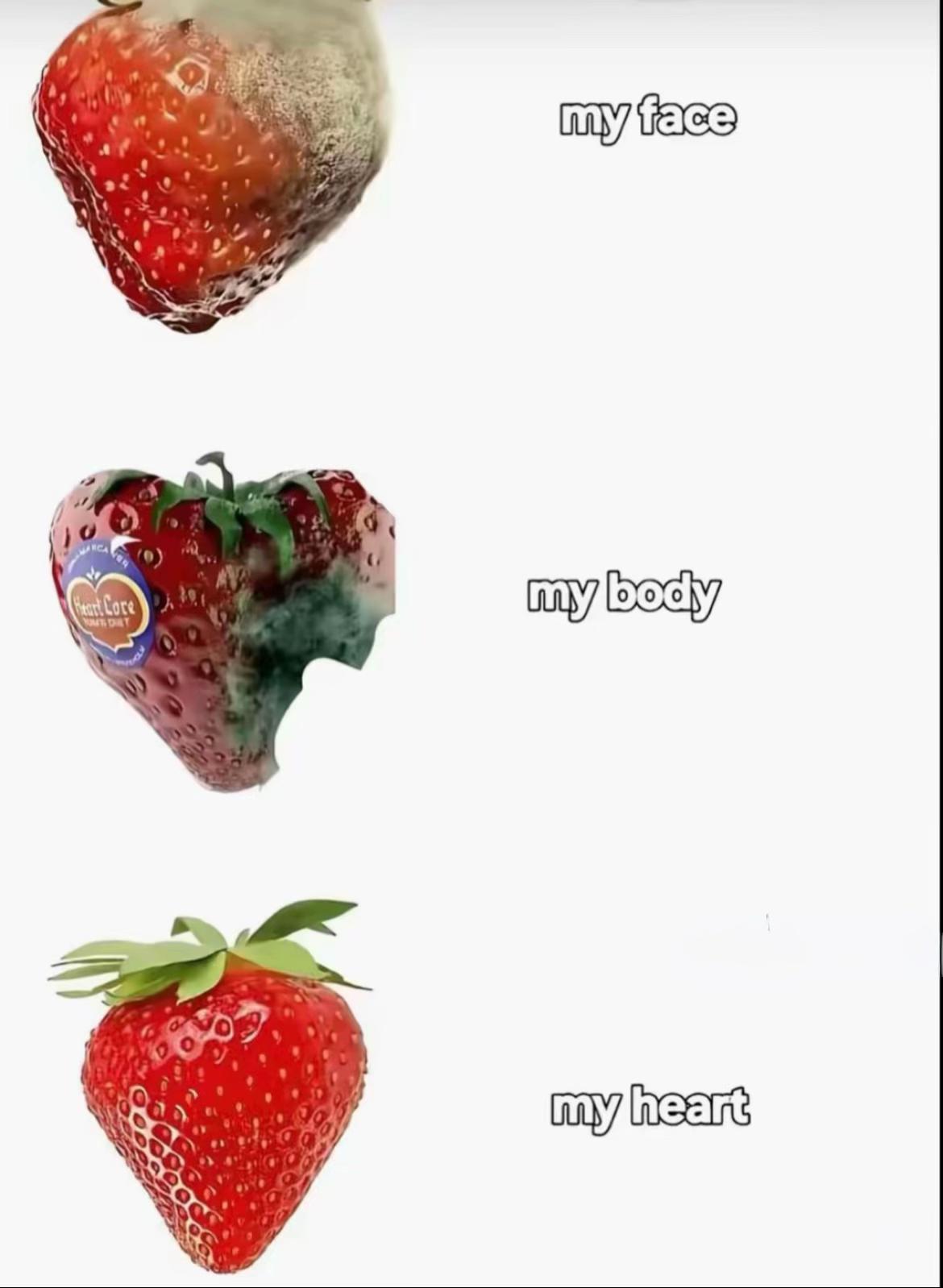 @Aurora