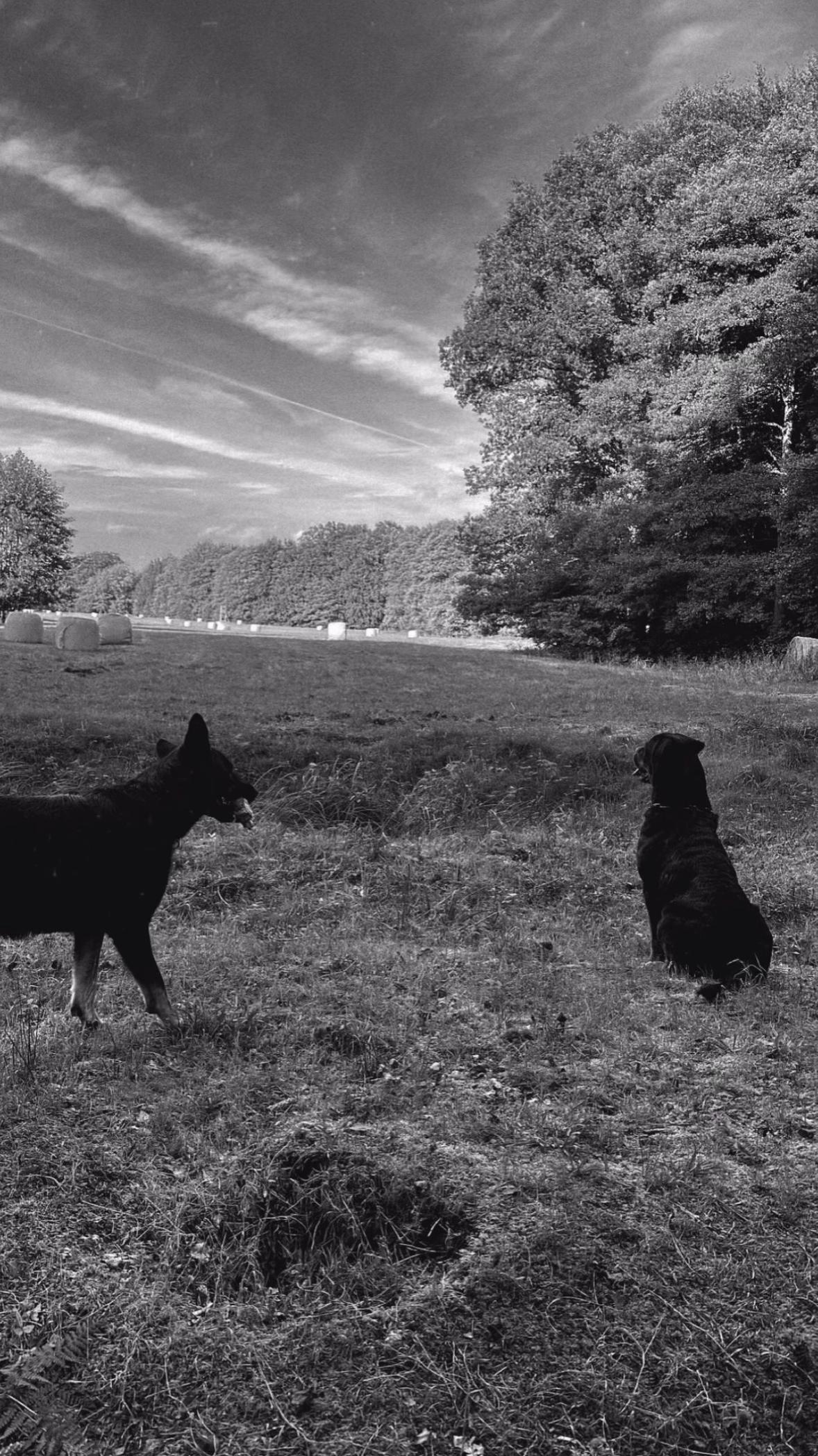 @Ne nh