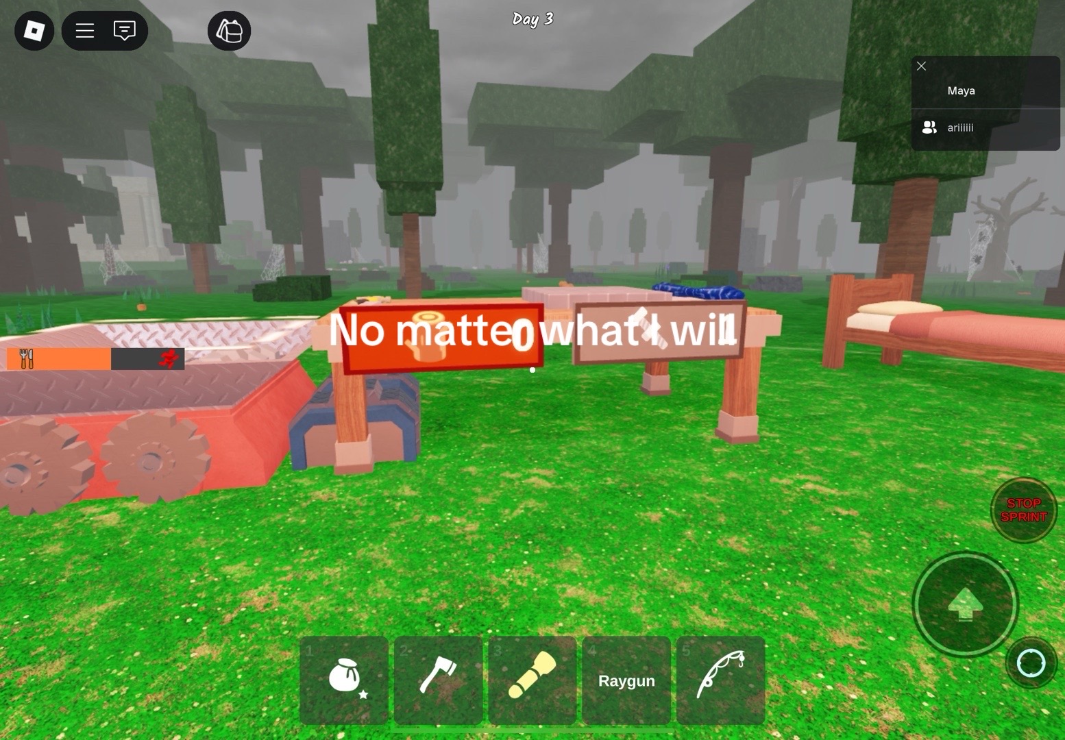 @Roblox_kid