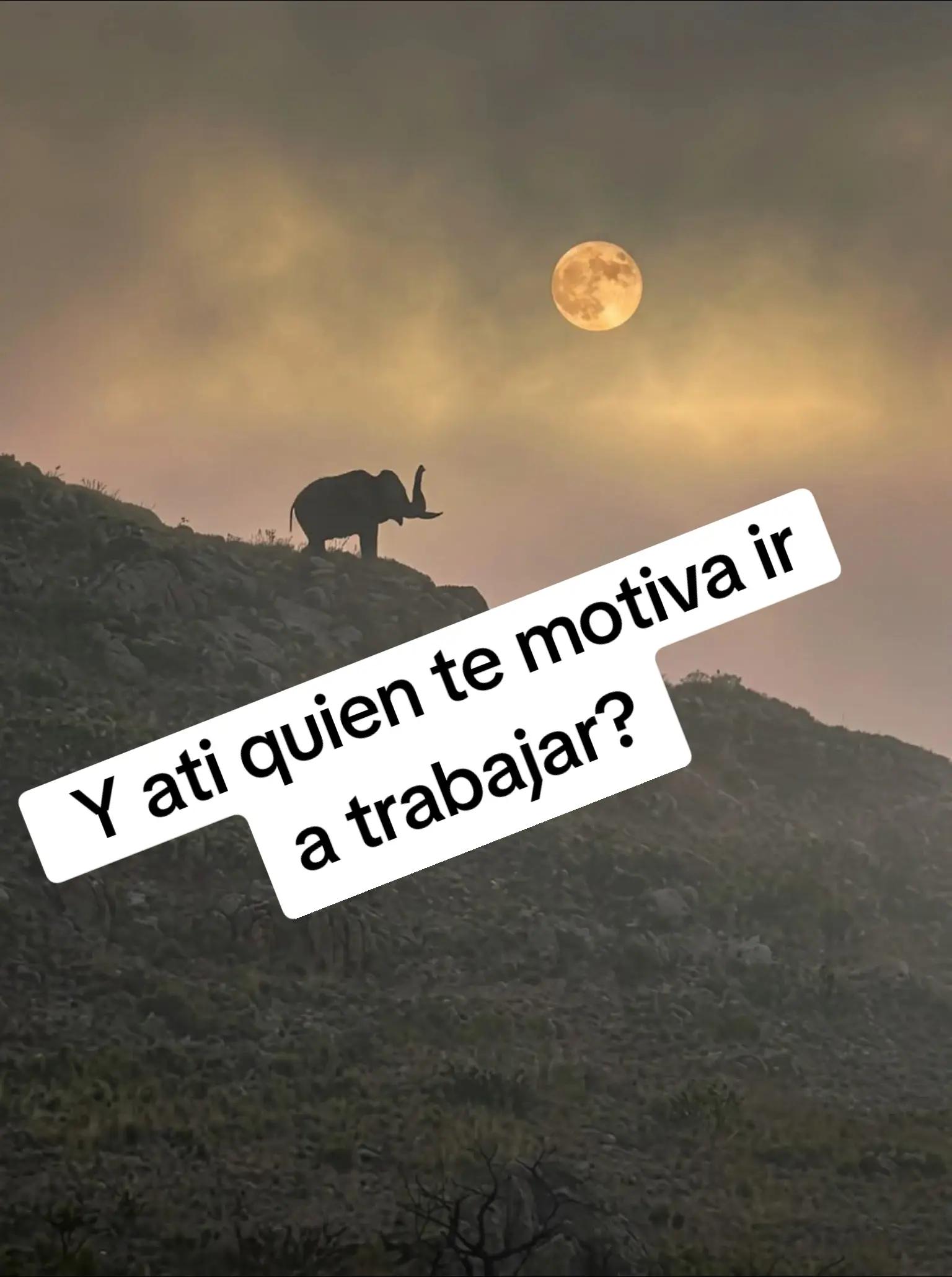 @S'alma H.